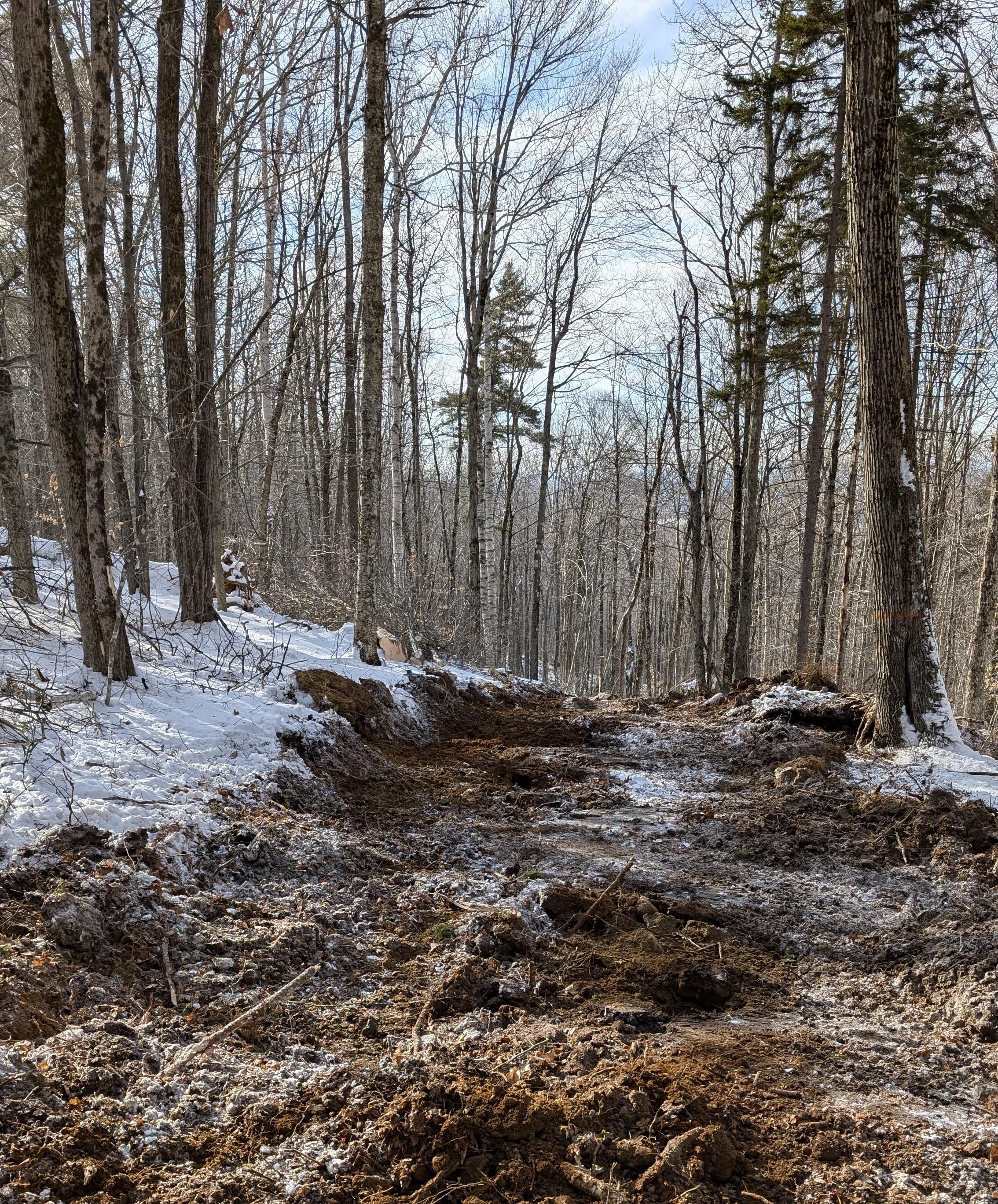 A winter logging trail covered in ice and snow. 