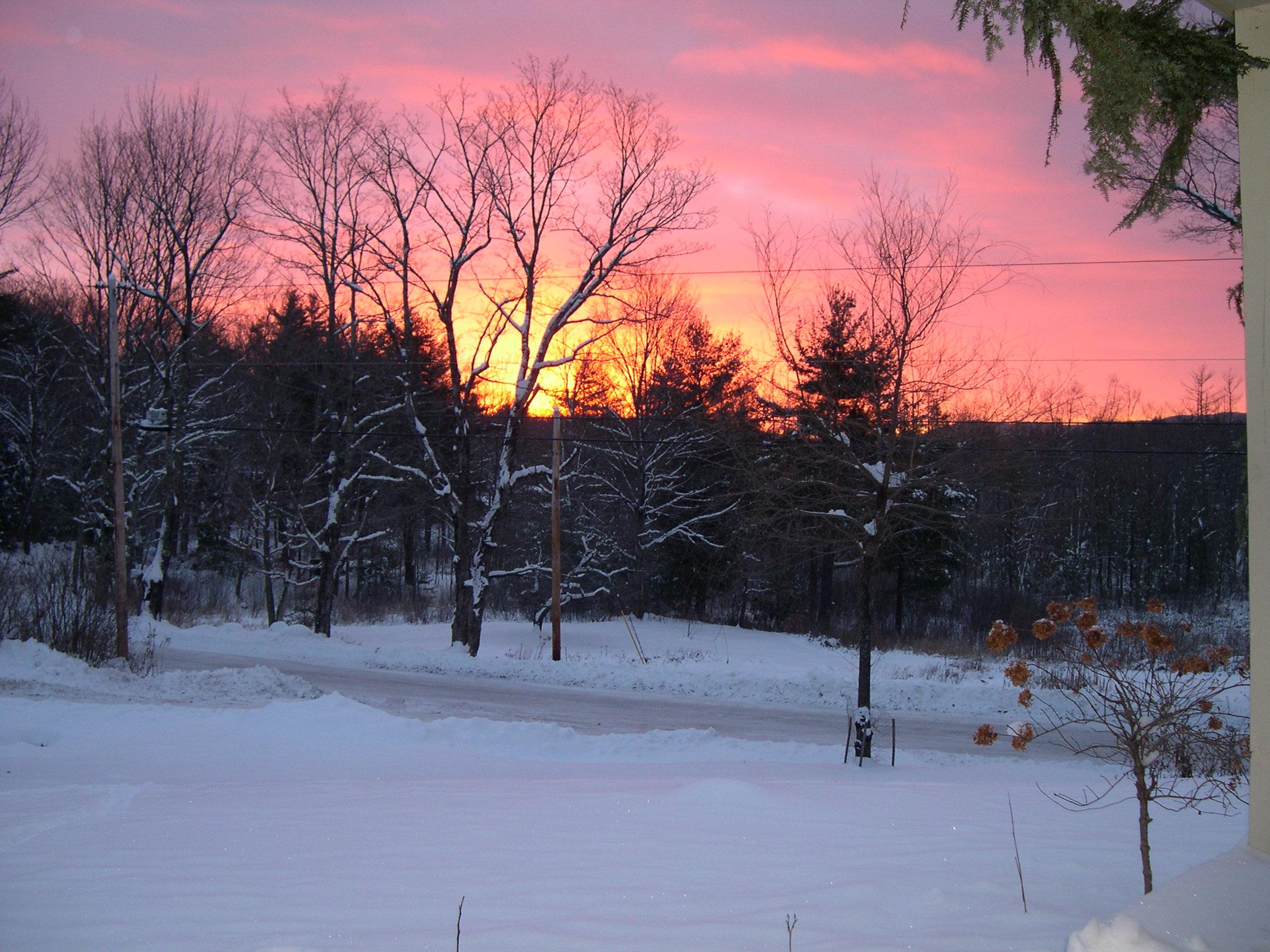 Pink and orange sunset over bare branched tree tops.