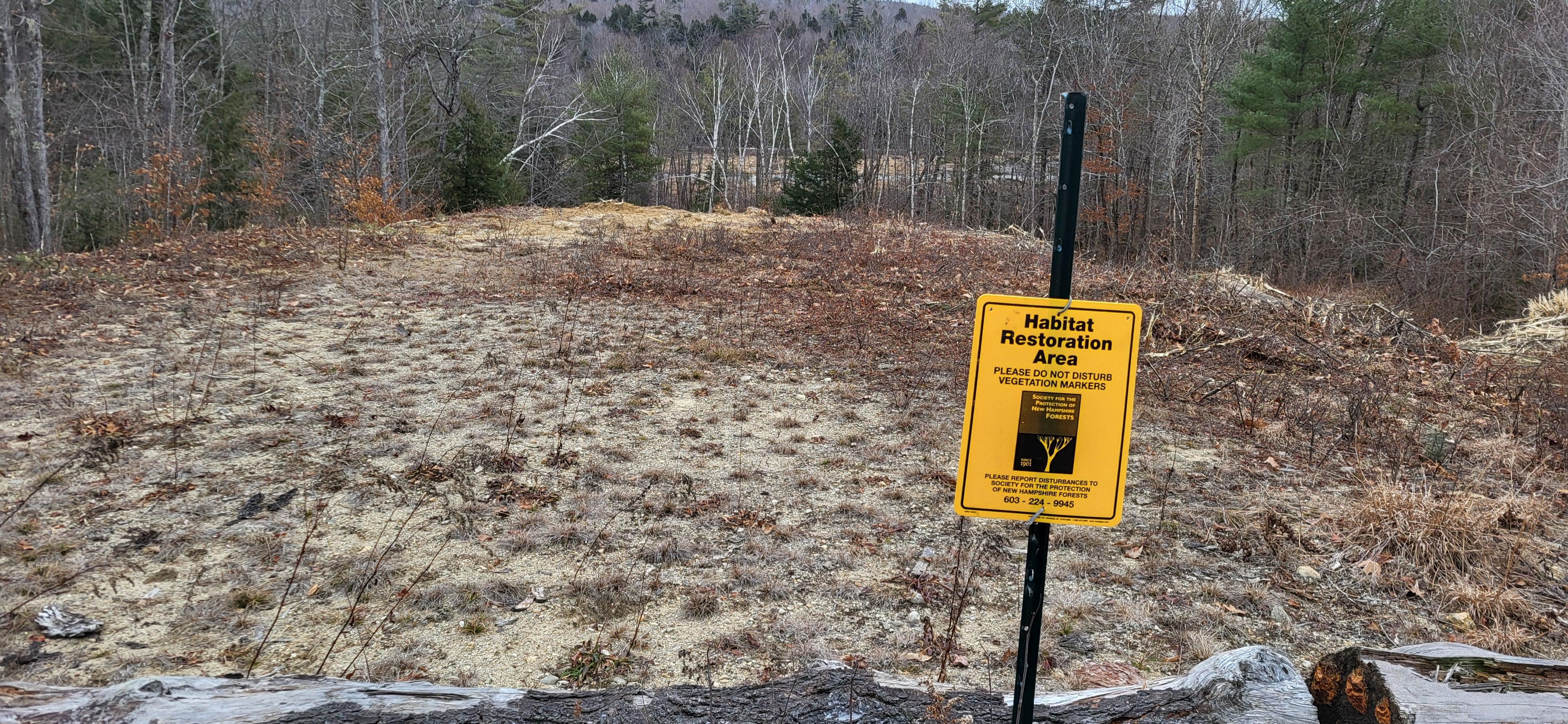 Yellow sign reads "habitat restoration area" in front of meadowed clearing