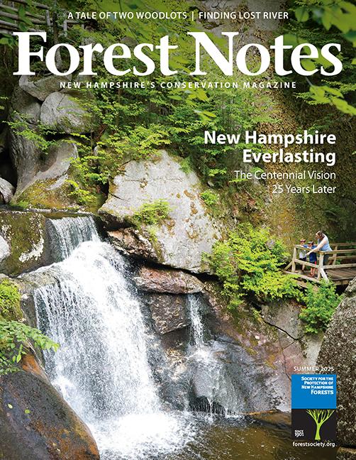 Forest Notes Summer 2025