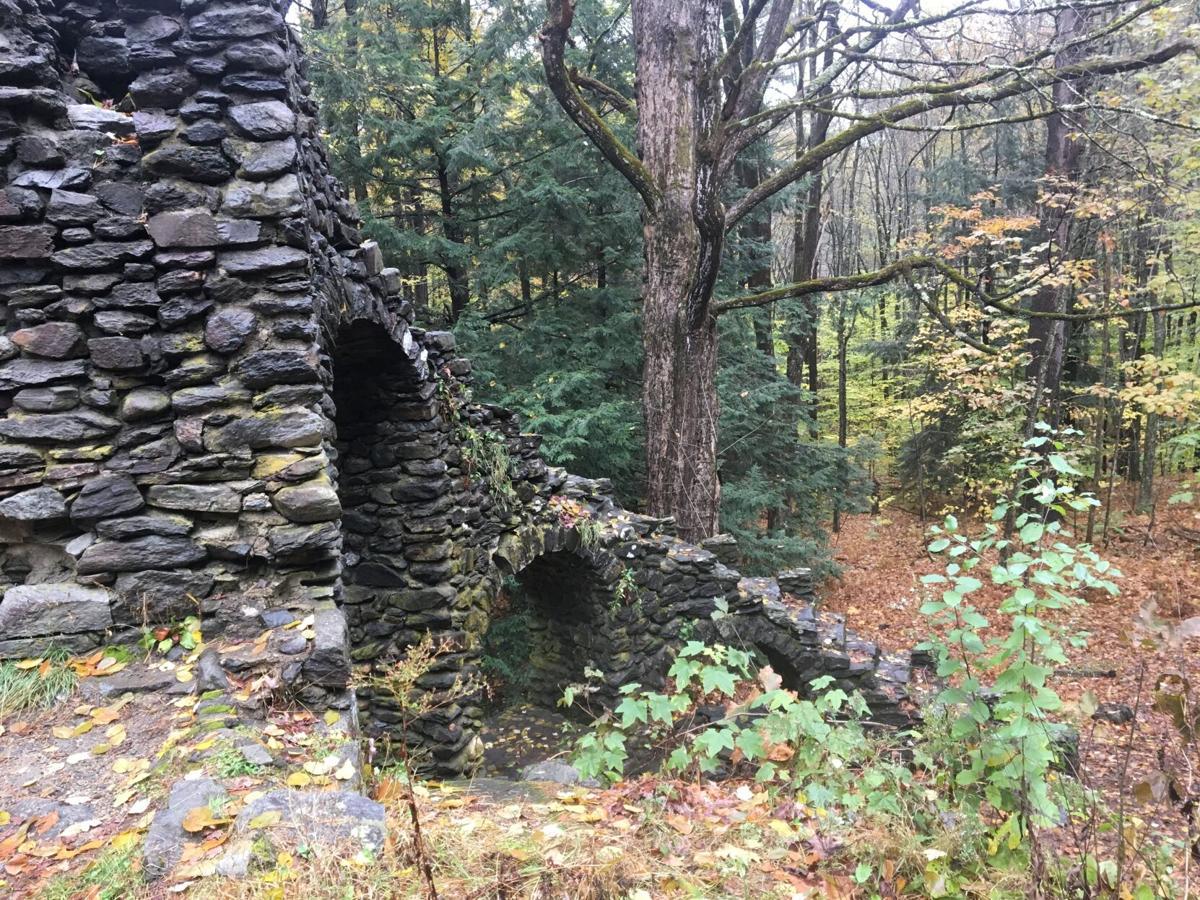 Madame Sherri's Forest