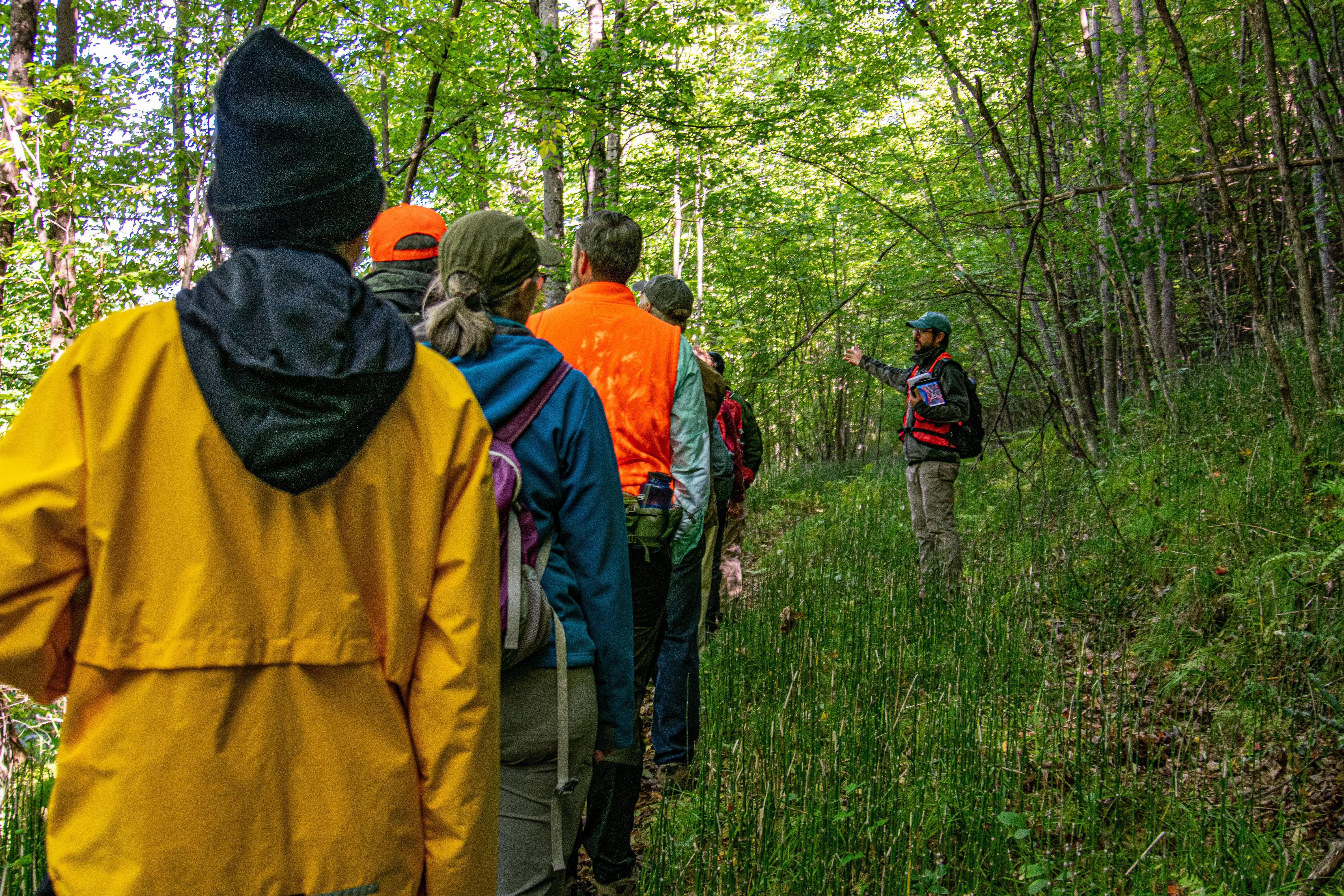 Forester Steve Junkin speaks while attendees walk by in Stillhouse Forest.