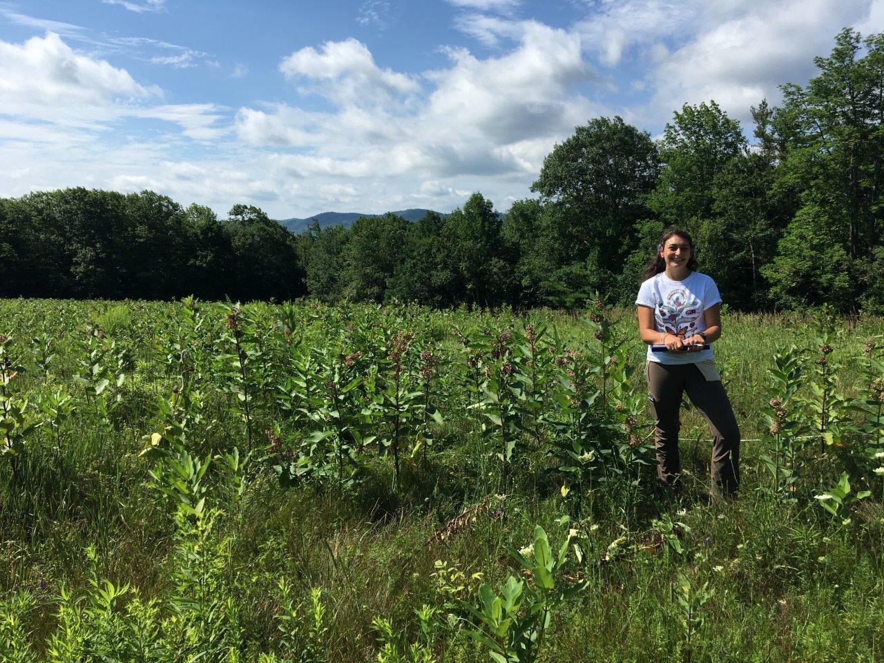 Researcher Katie Galletta standing in High Five fields.