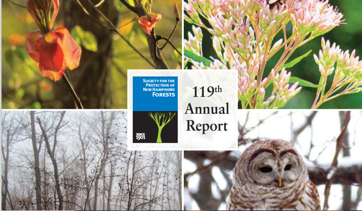 Part of the cover of the Annual Report featuring photos of wildlife.