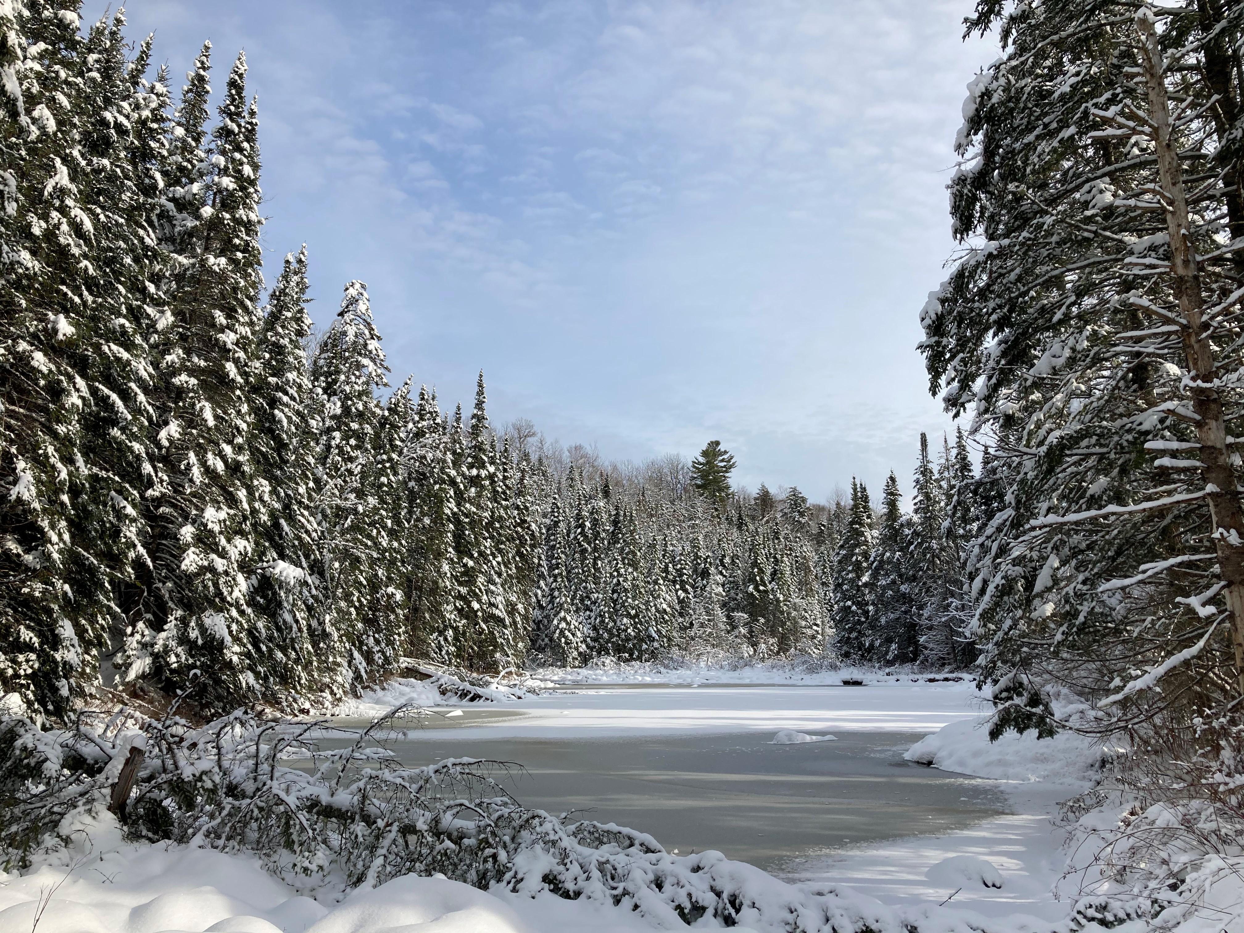 The snow covered Ammonoosuc Forest with a frozen brook at the foreground.