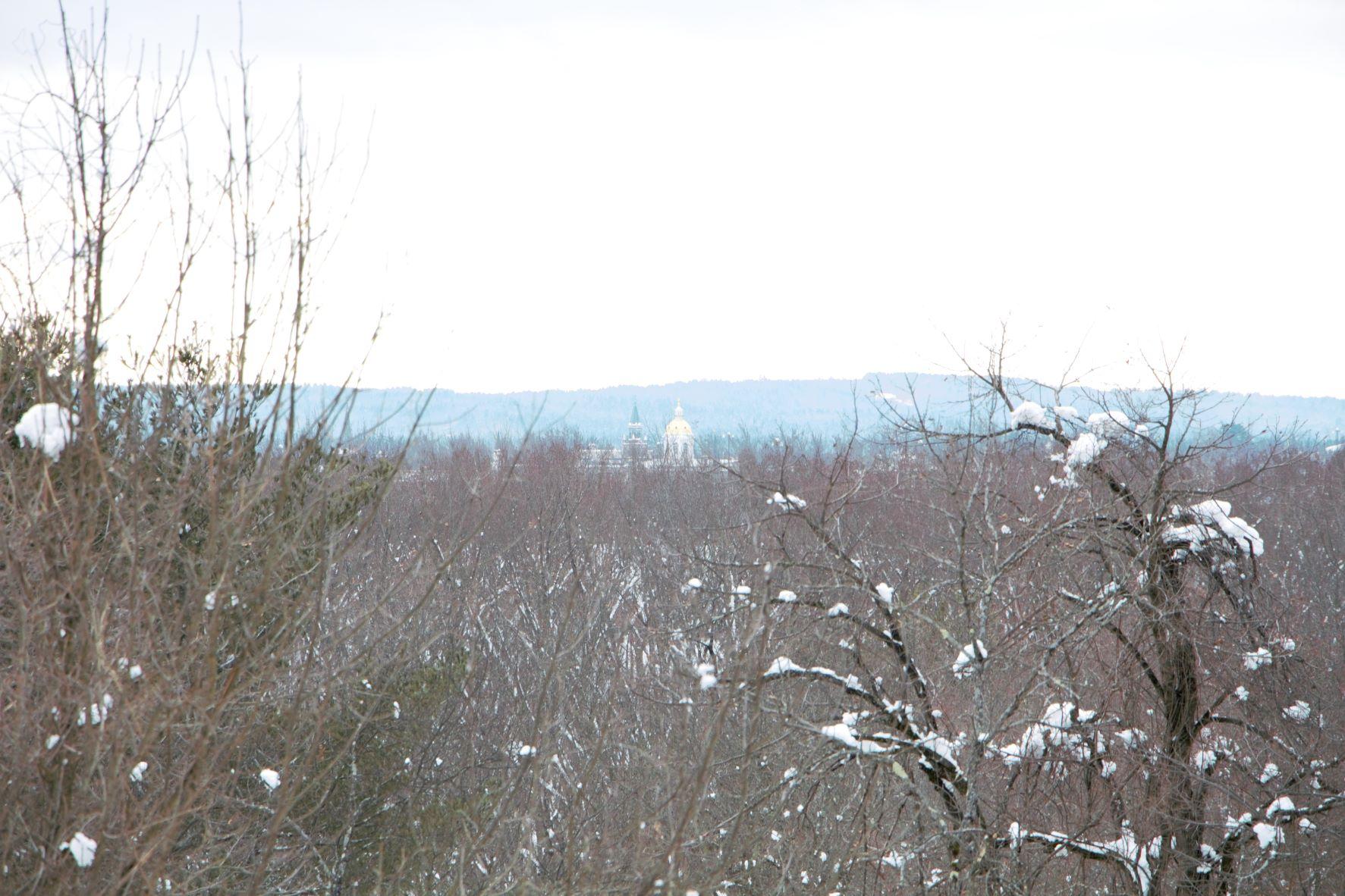 A view of the state capitol from the Conservation Center in Concord.