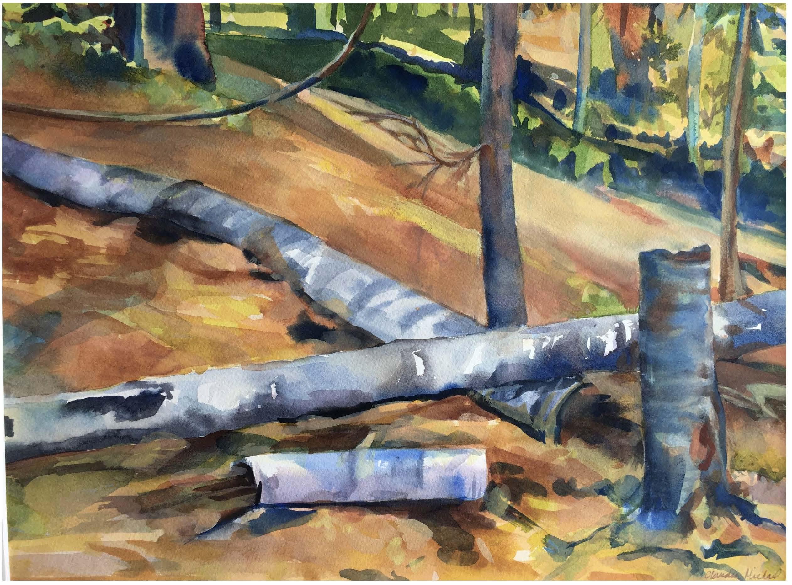 A watercolor painting of fallen birches in sunlight.