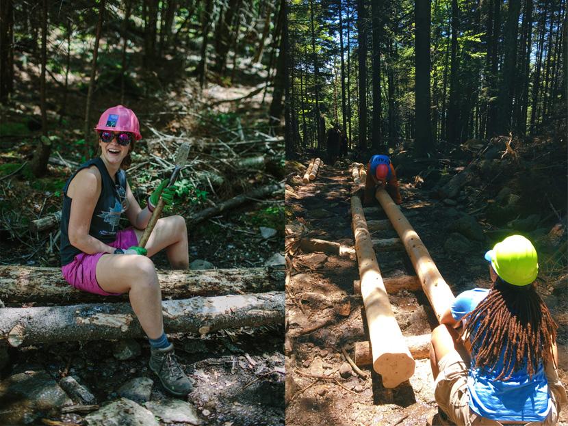 Bog bridges were built out of native timber on site