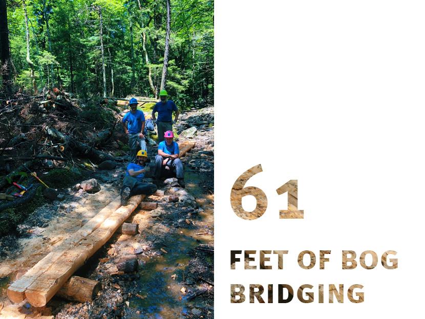 Volunteers installed new bog bridges on the White Arrow Trail and a XC Ski Trail