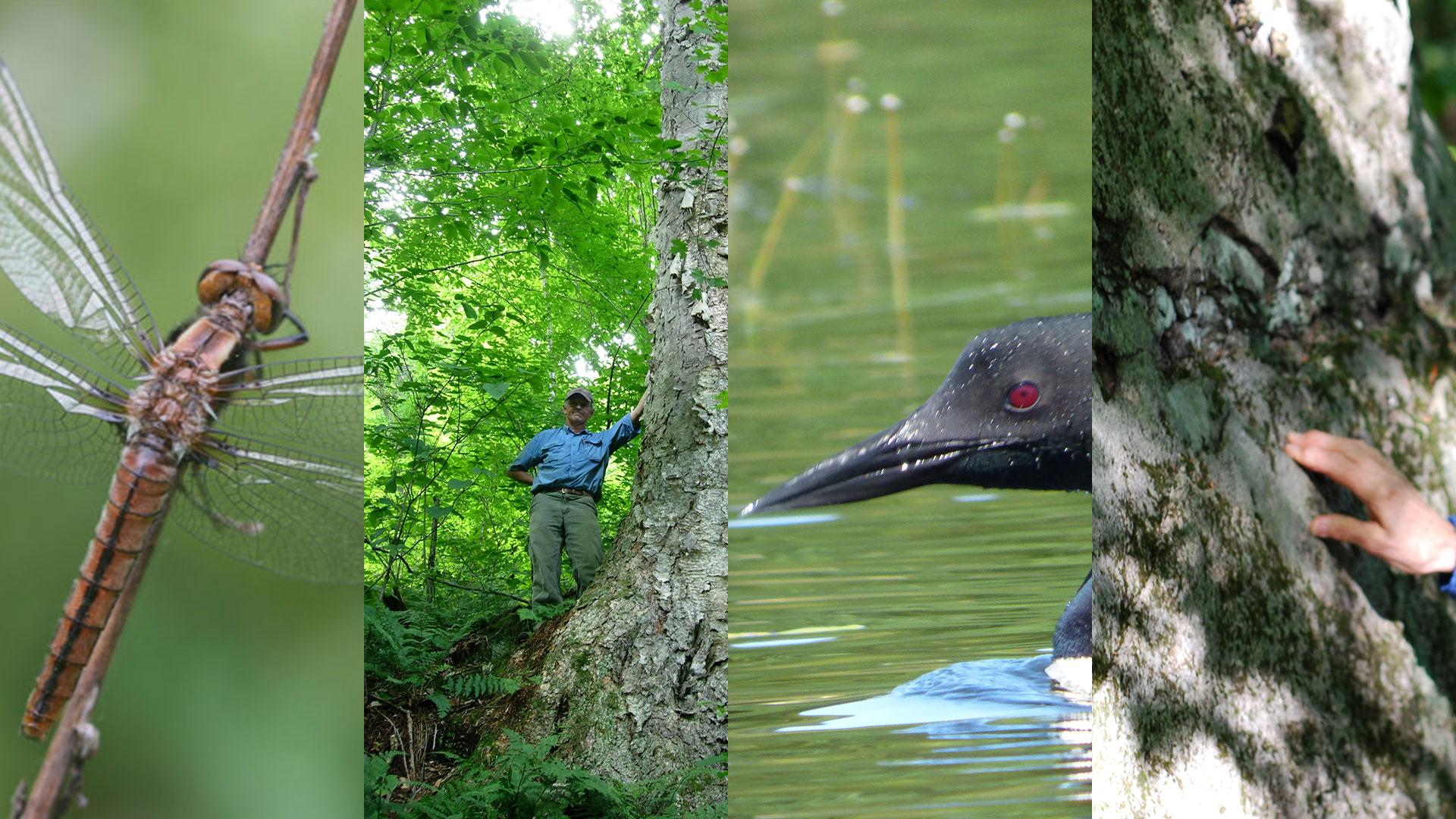 2019 Cottrell-Baldwin Environmental Lecture Series at the Henry I. Baldwin Environmental Center at Fox Forest in Hillsborough