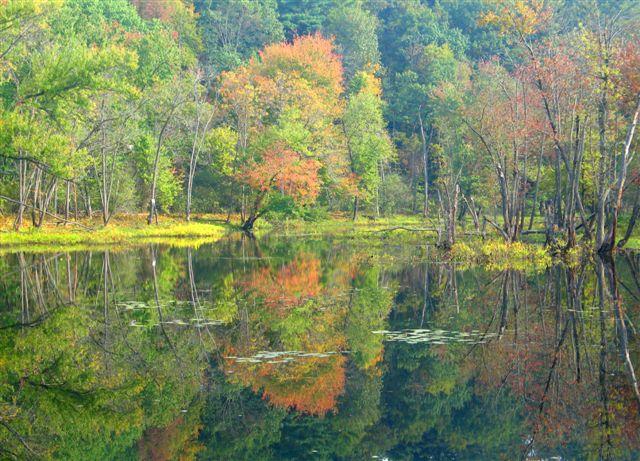 Fall foliage on the floodplain is reflected on the Merrimack River.