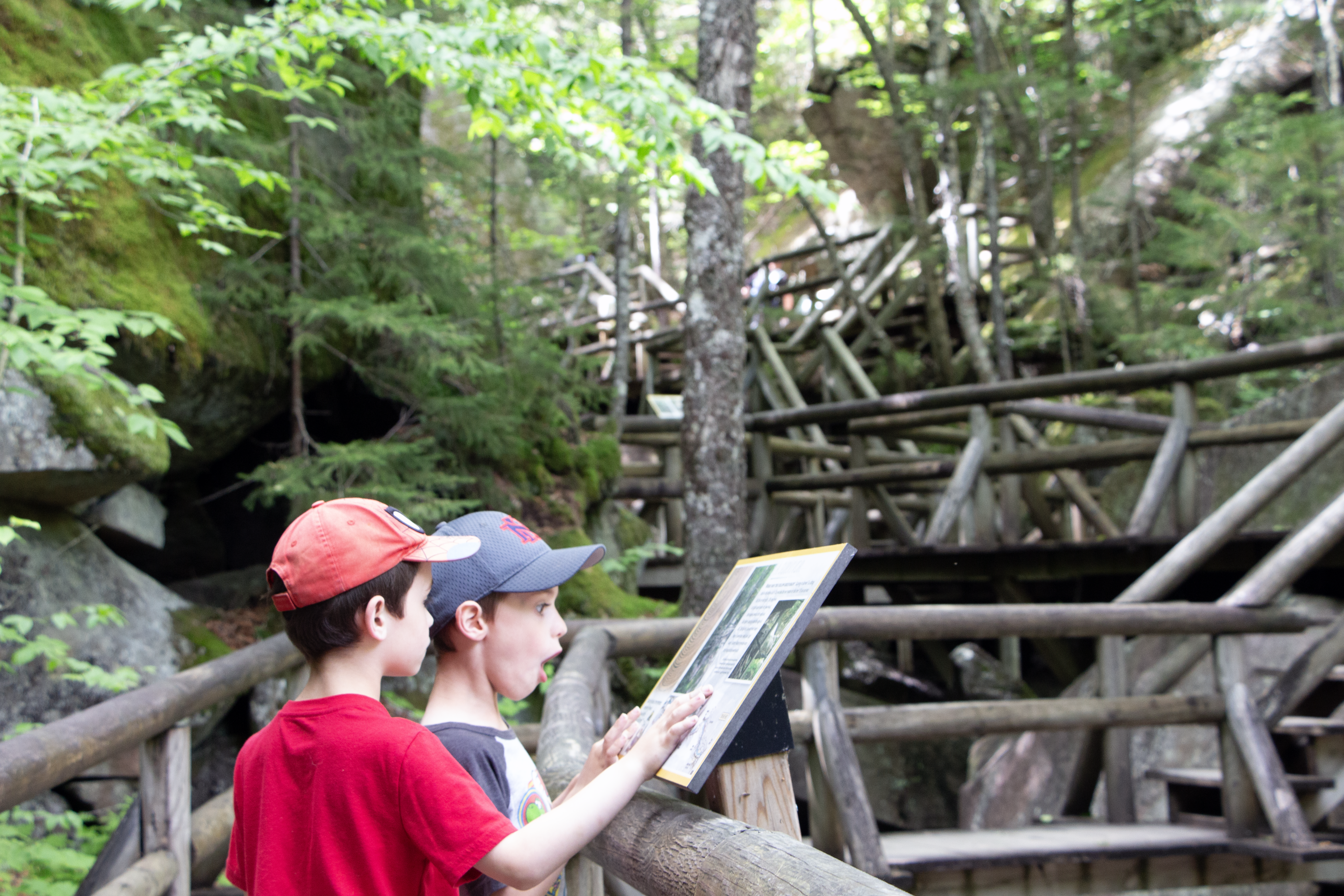 A young child and his sibling looked surprised while reading a info panel at Lost River Gorge.