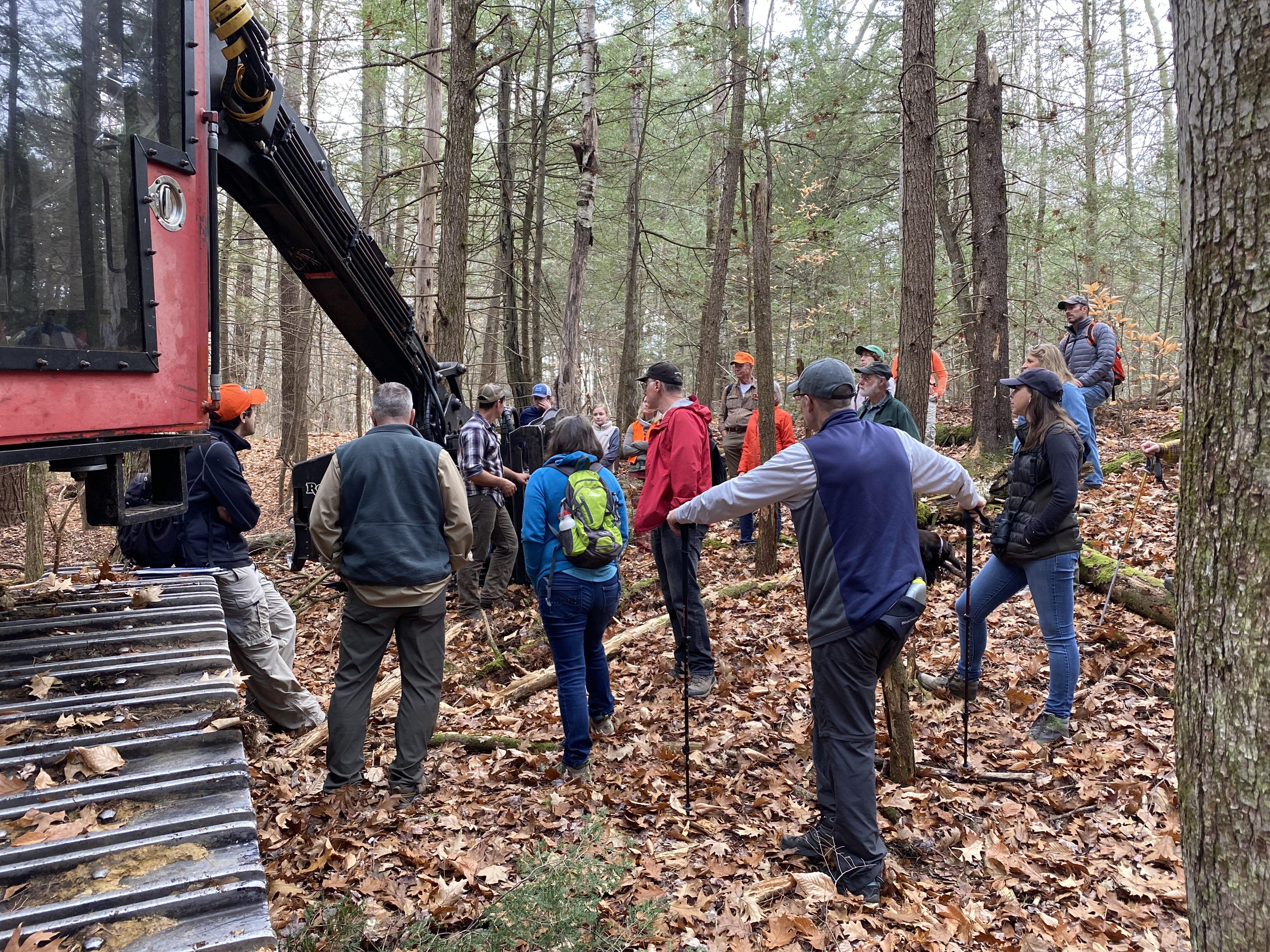 Participants view logging machinery in woods