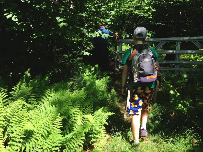 Hiking between the ferns on the trail at High Blue Reservation in Walpole NH