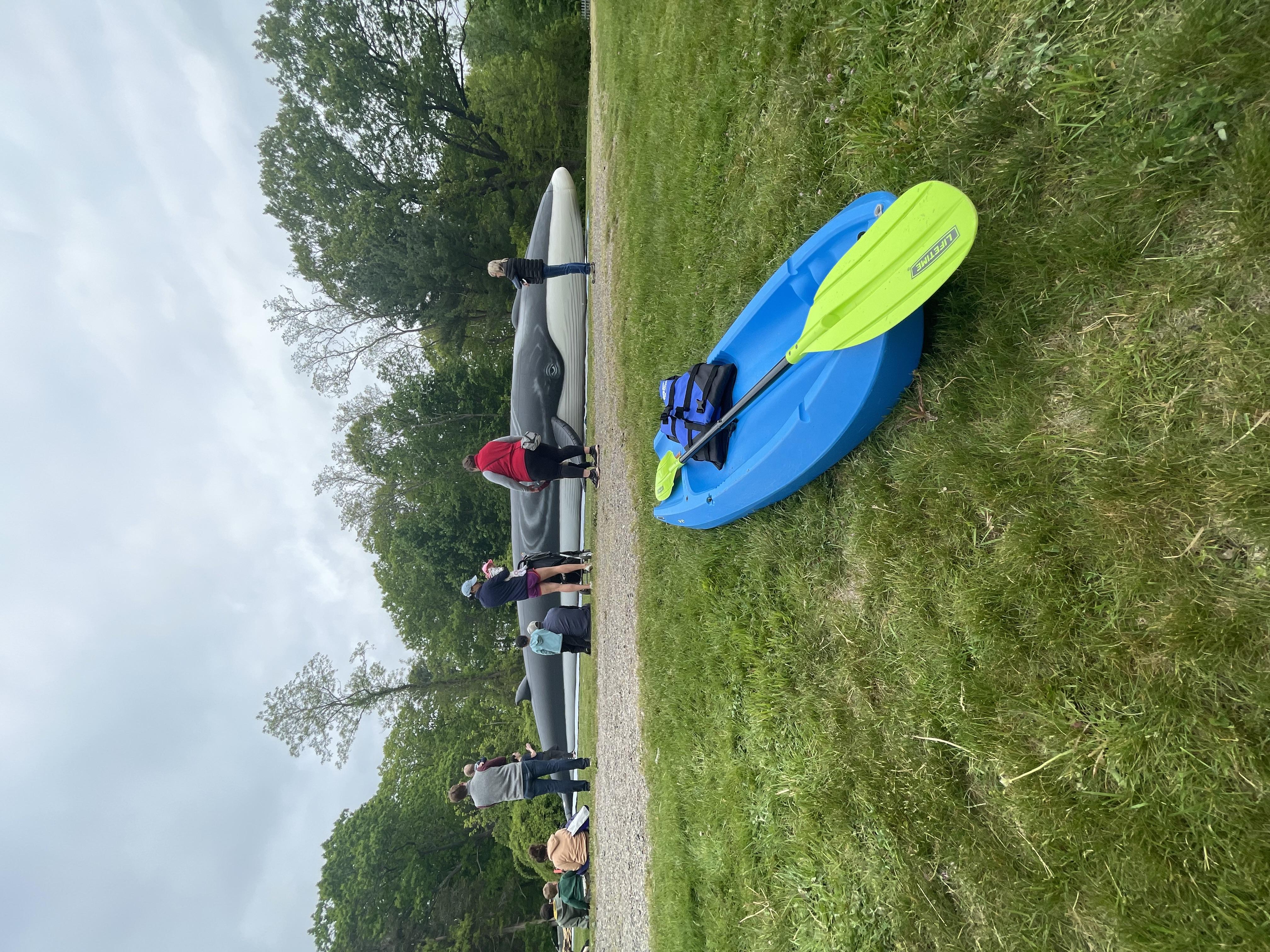 Woods, Whales, Water and kayaks!