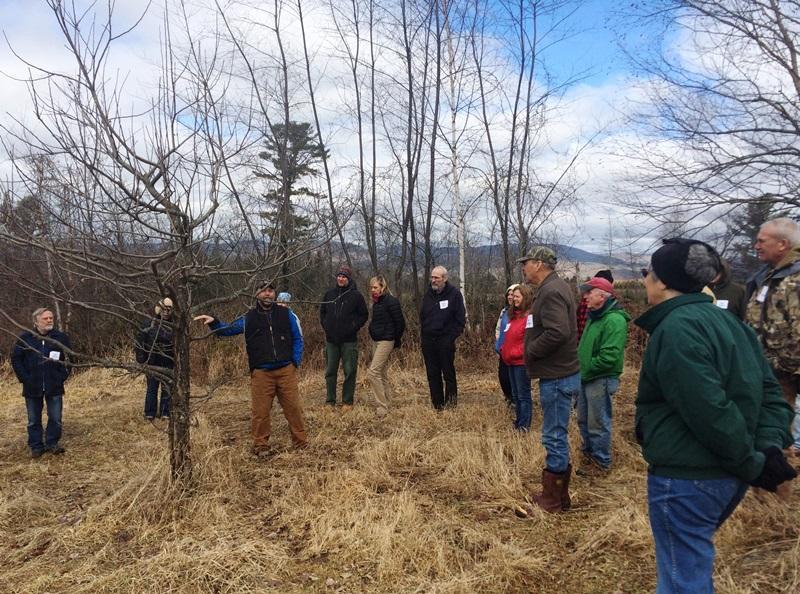 Nigel discusses apple tree pruning technique