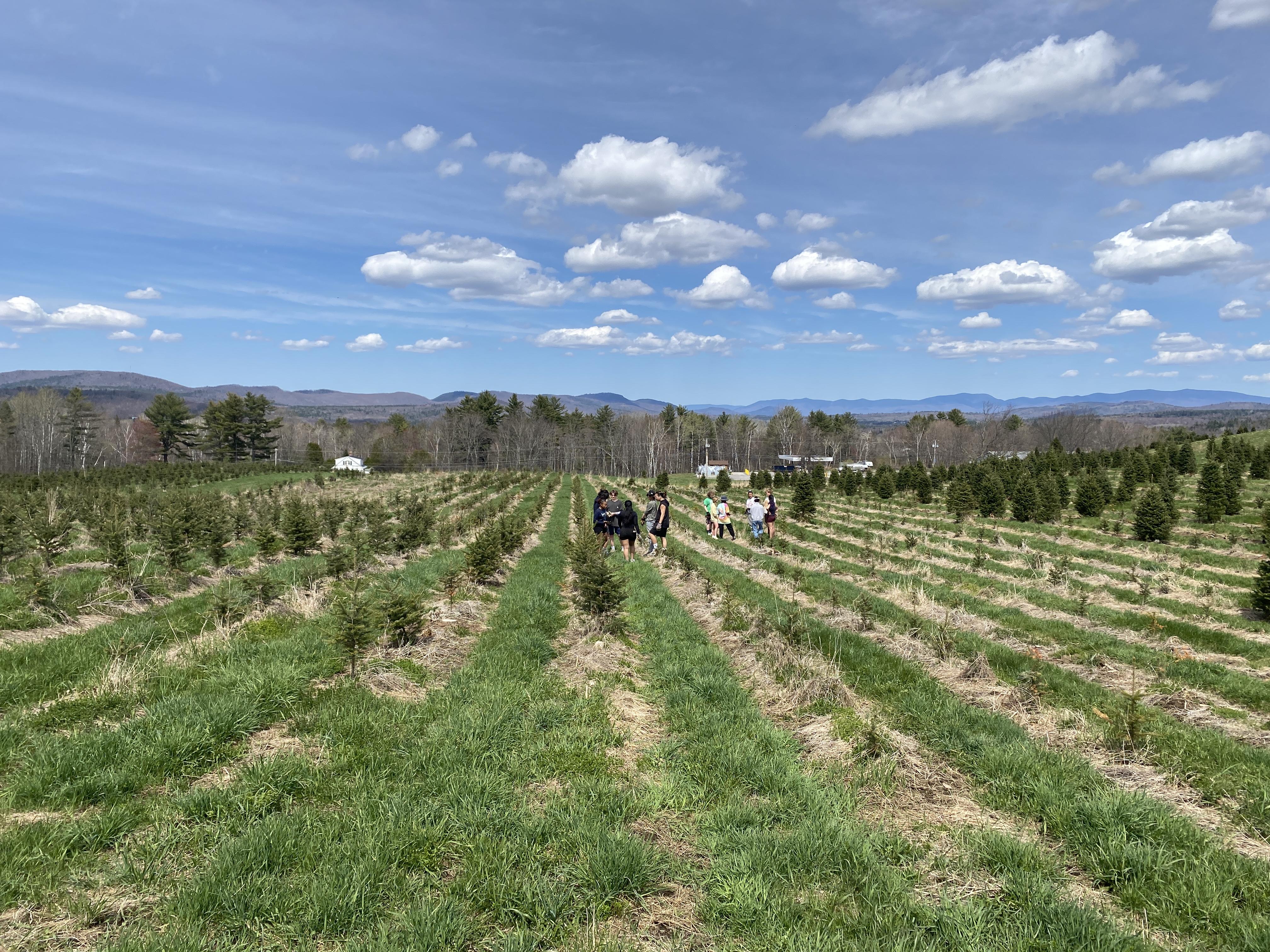 It was a beautiful day for planting.