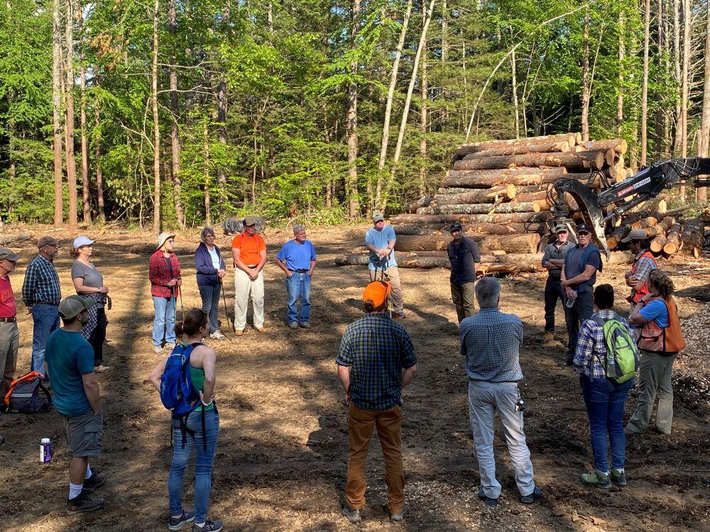 People machinery log pile Lamprey River Forest