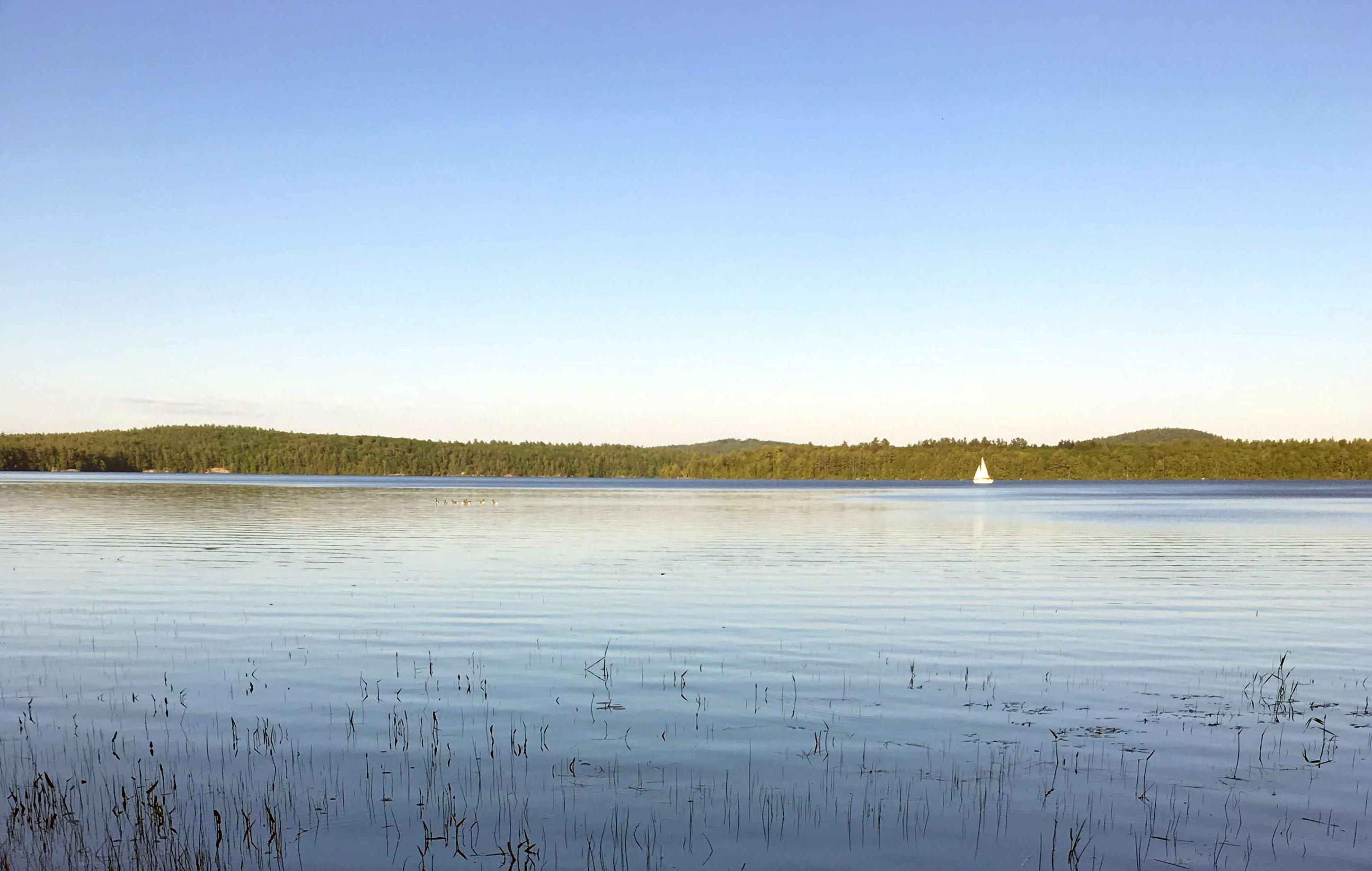 A view of a lake in summer sunshine with a sailboat on the water.