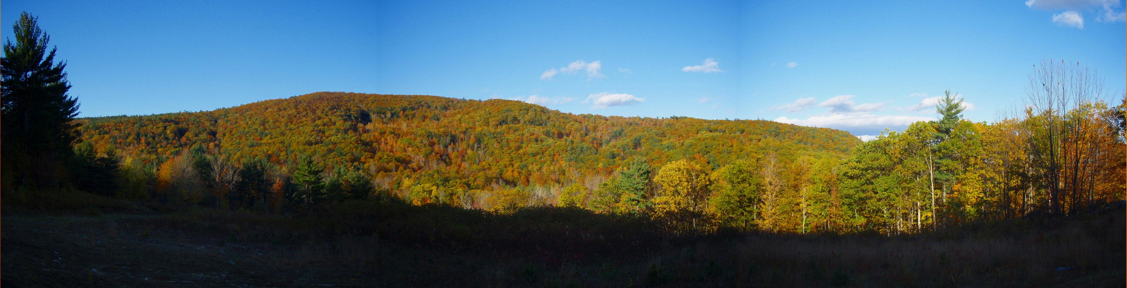 Fall Foliage at Moose Mountains