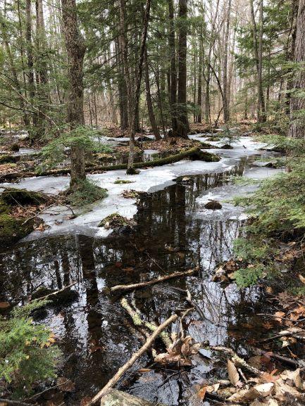 Part of Lake Massabesic in the woods, covered with snow.