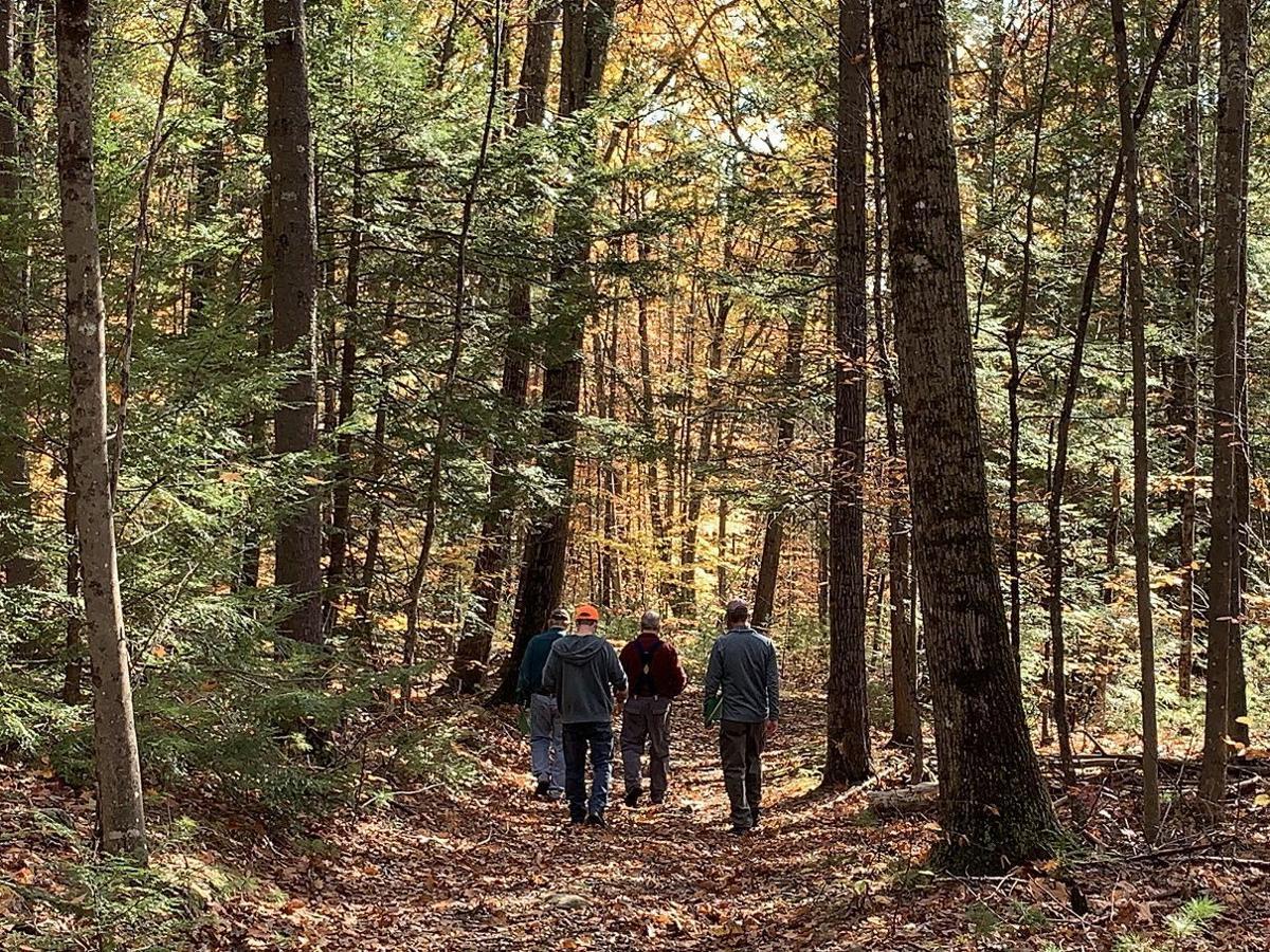 A group including the Tree Farmers of the Year walks down a leafy path.