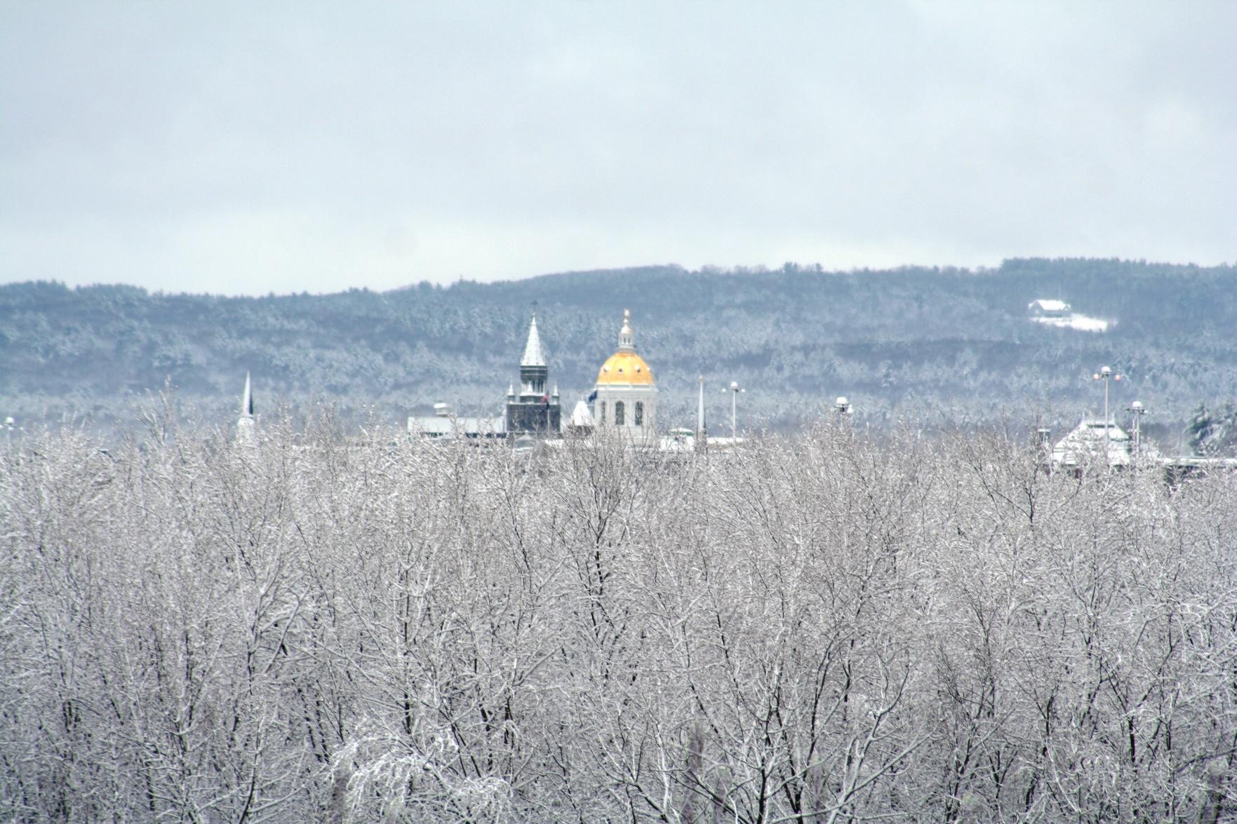 NH State House gold dome surrounded by bare trees with snow on branches