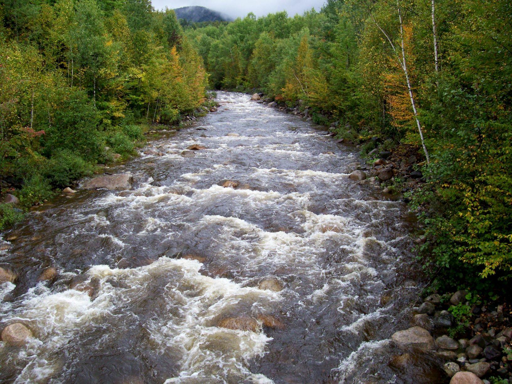 Bubbling gurgling river edged by green forest, pale blue mountain in distance