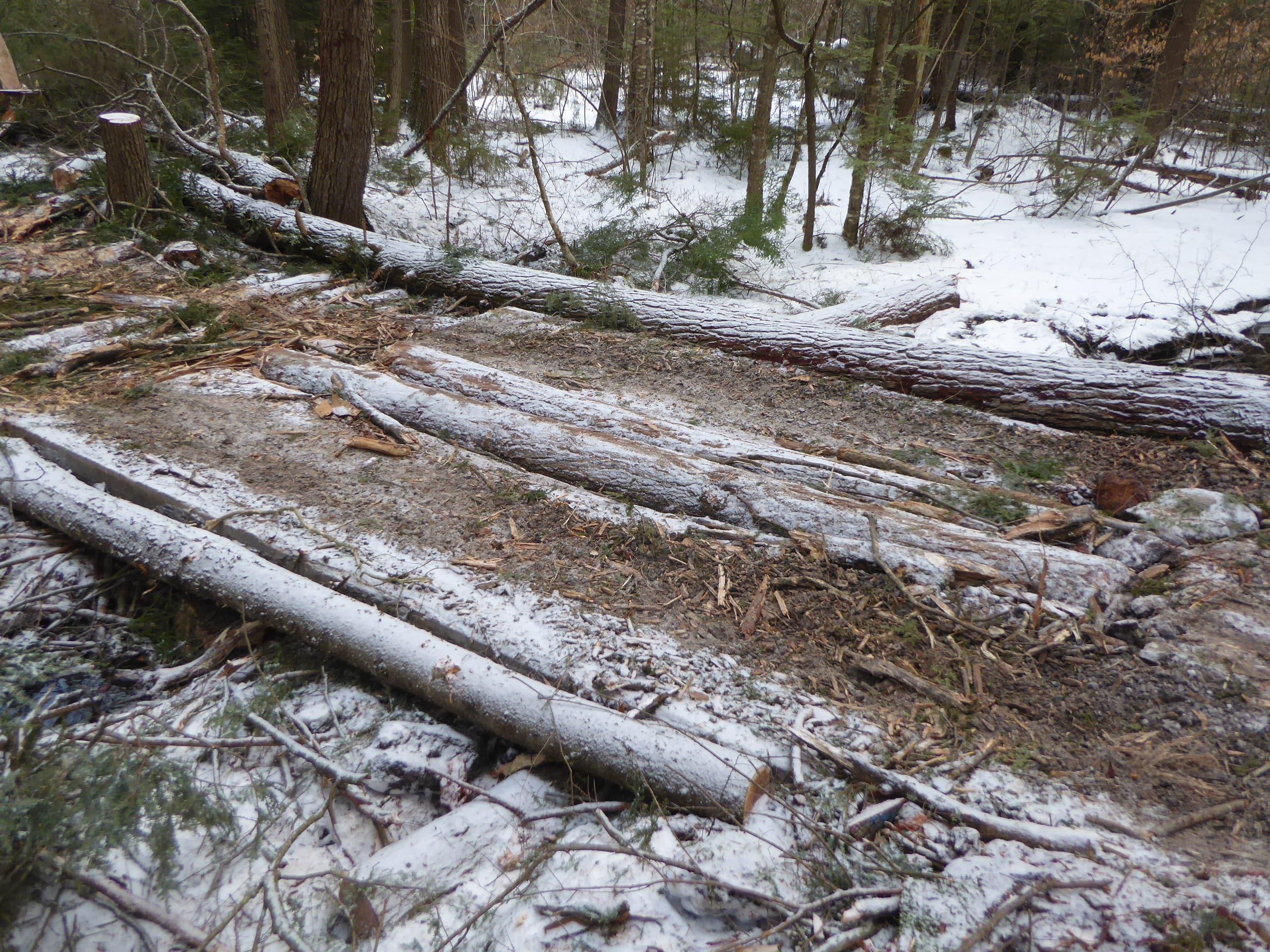 Two portable skidder bridges are used at each stream crossin to minimize impacts on water quality and wildlife.