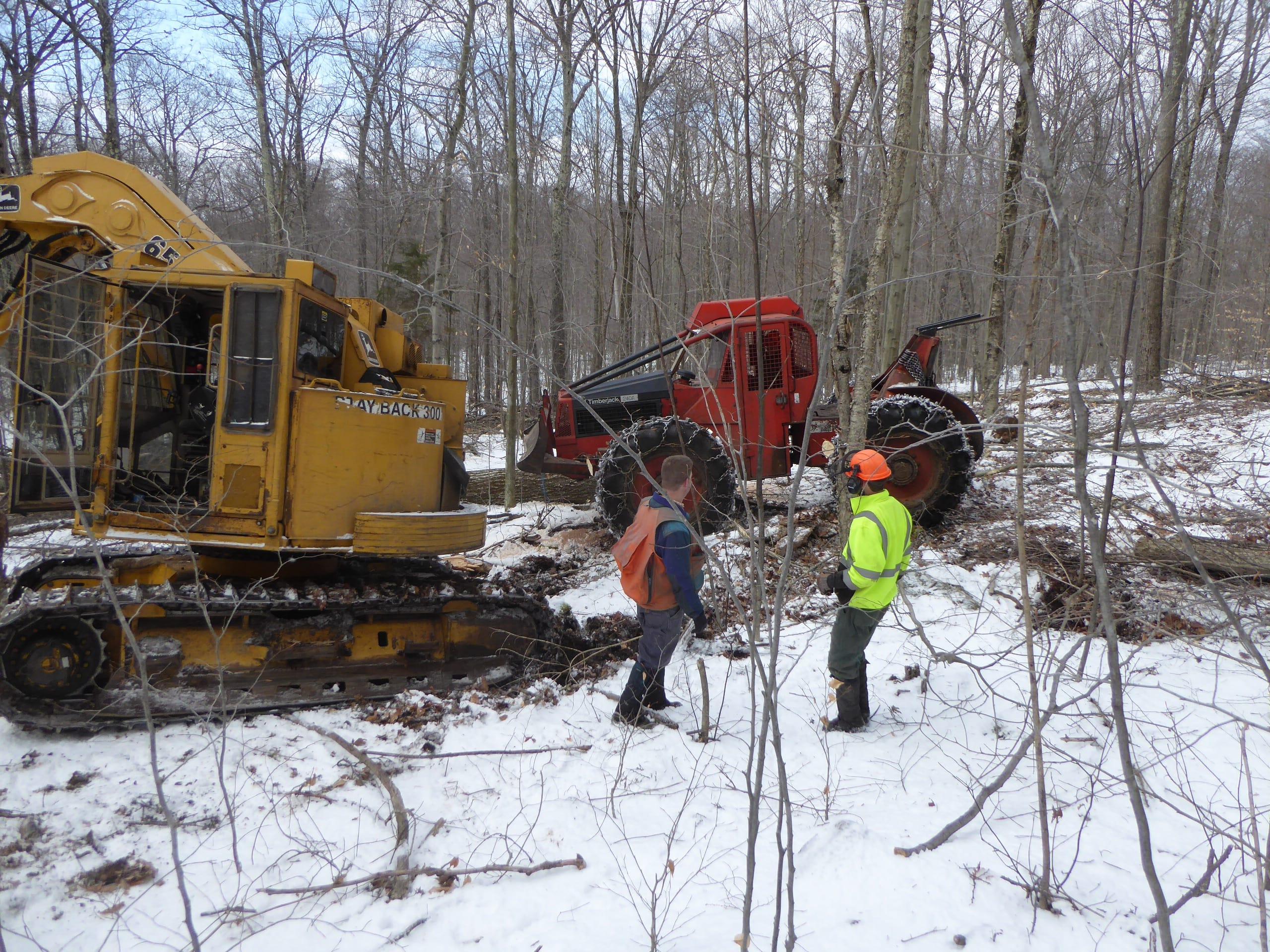 Timber harvest on Mount Monadnock