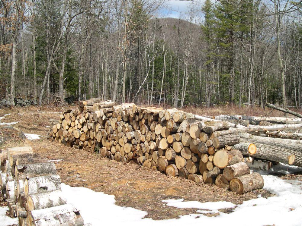 Wood piles in foreground. Stonewall and Meetinghouse Hill in background
