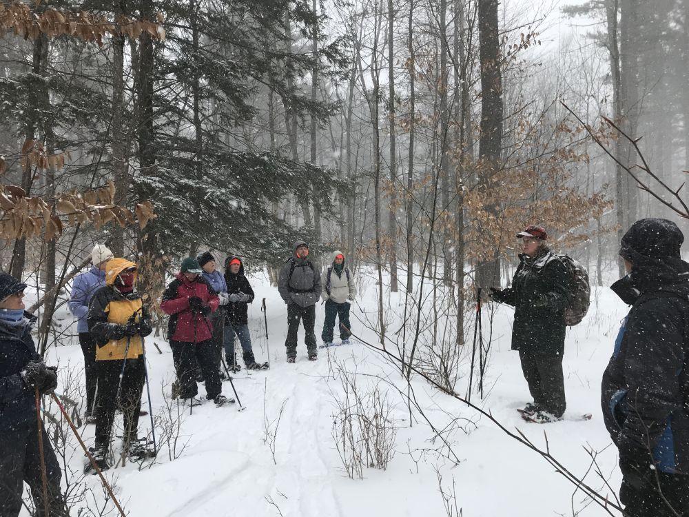 Tracking at The Fells 2-15-19