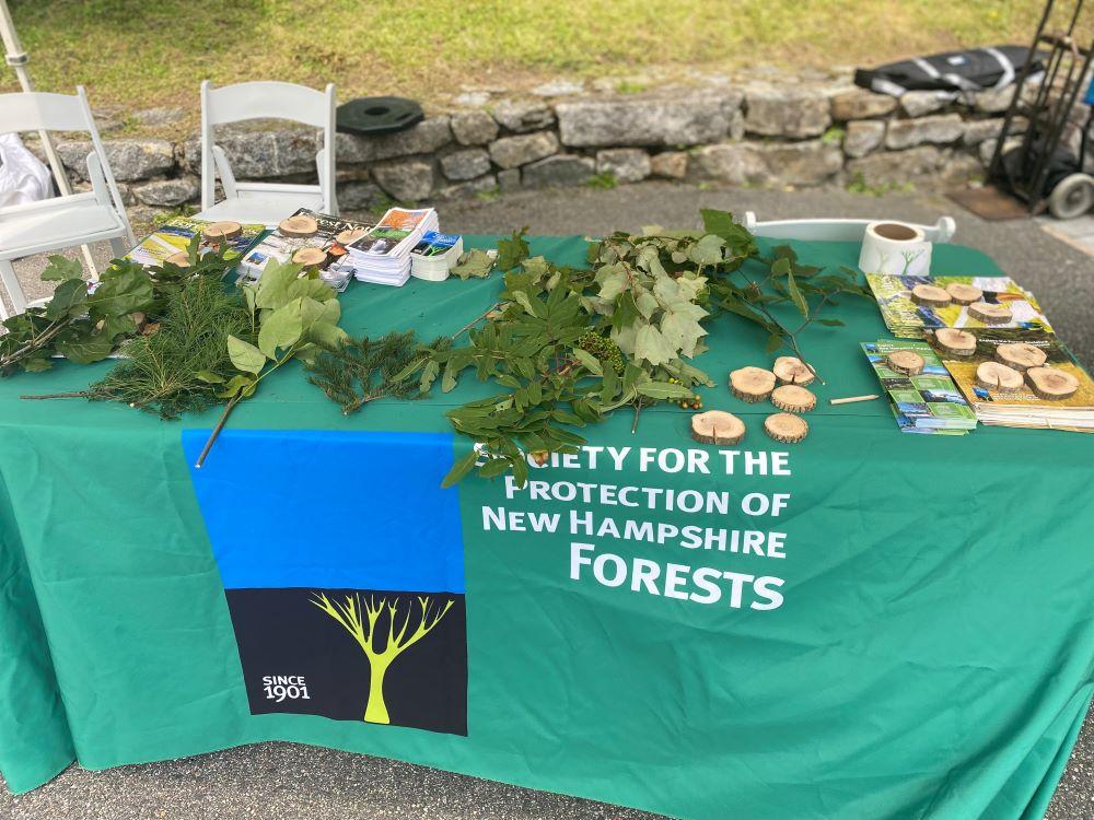 Green tablecloth tree ID display items at Old Man of Mountain event August 3