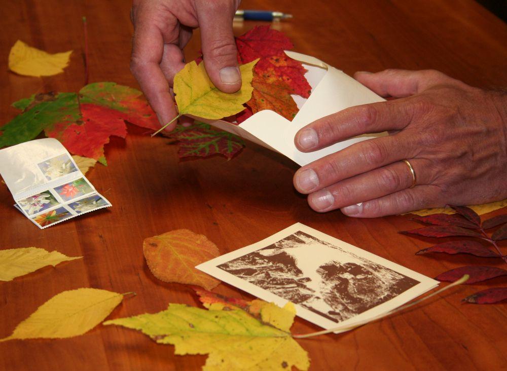 Colorful autumn leaves make a nice NH foliage season souvenir