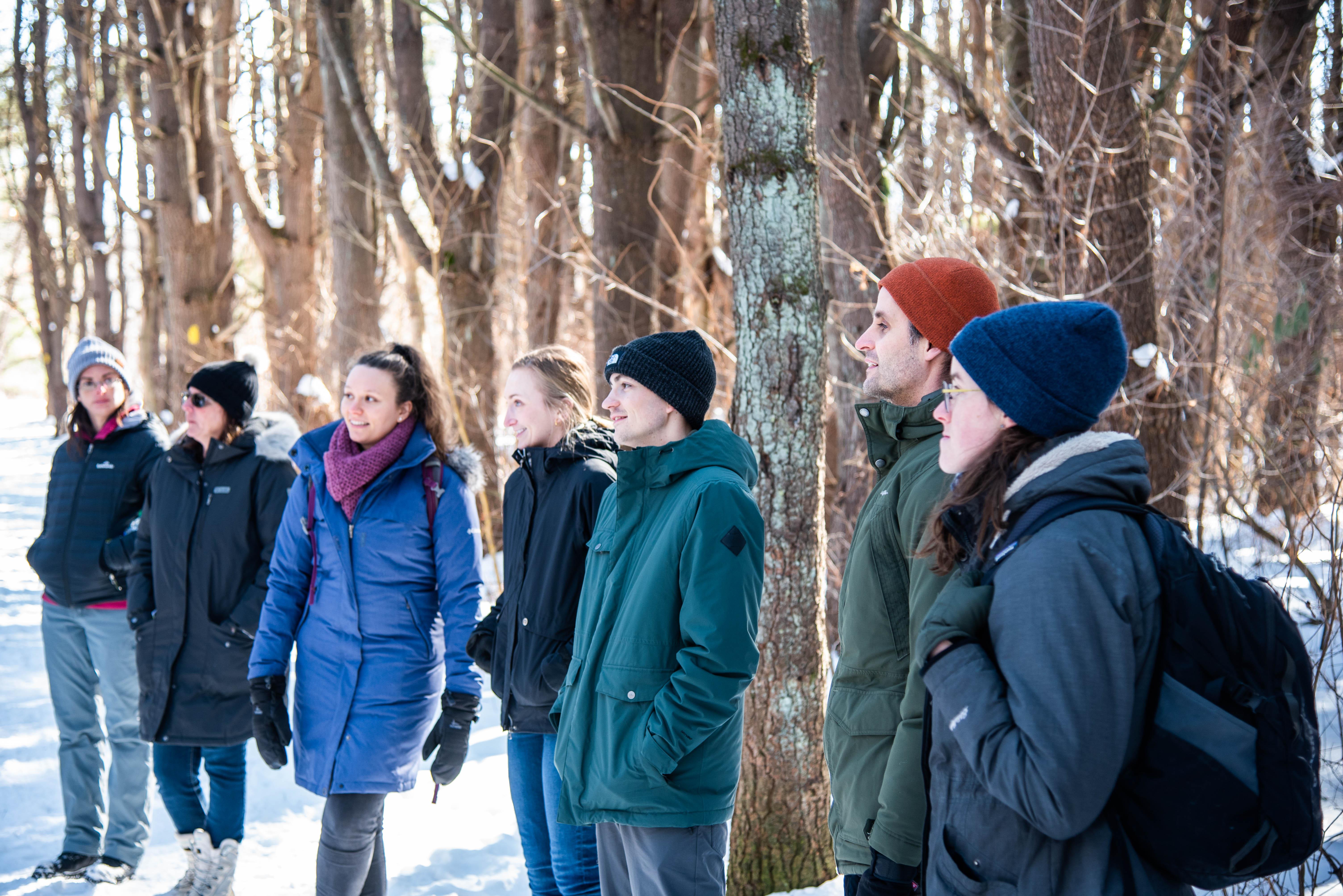 UNH Students in pine plantation