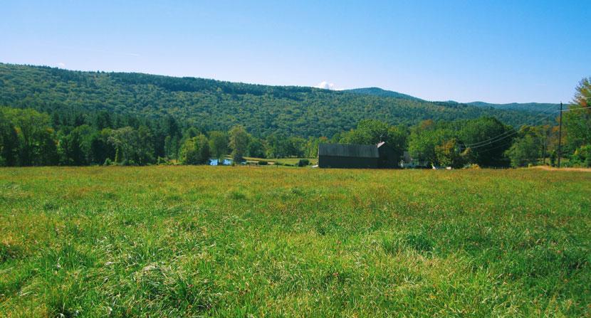 Open fields, high-quality wildlife habitat, and two perennial streams are now protected in Hillsborough