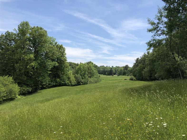 A view of a field at Tuckaway Farm.