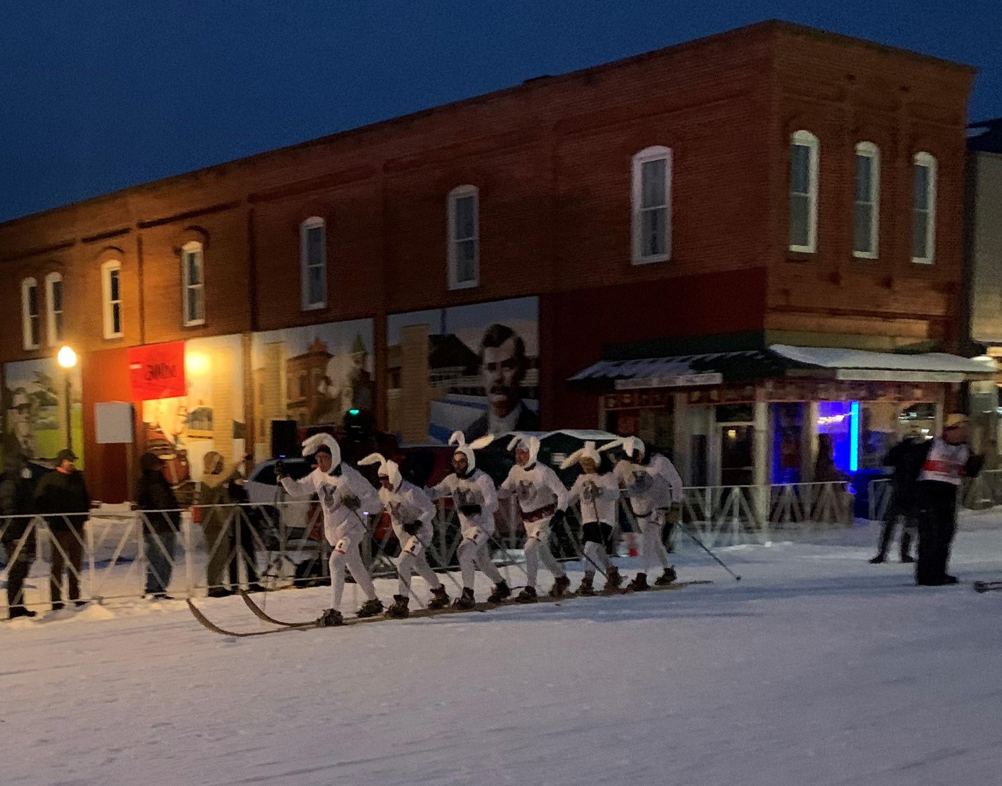 Many people dressed up like bunny rabbits are all skiing on one nordic ski through downtown.