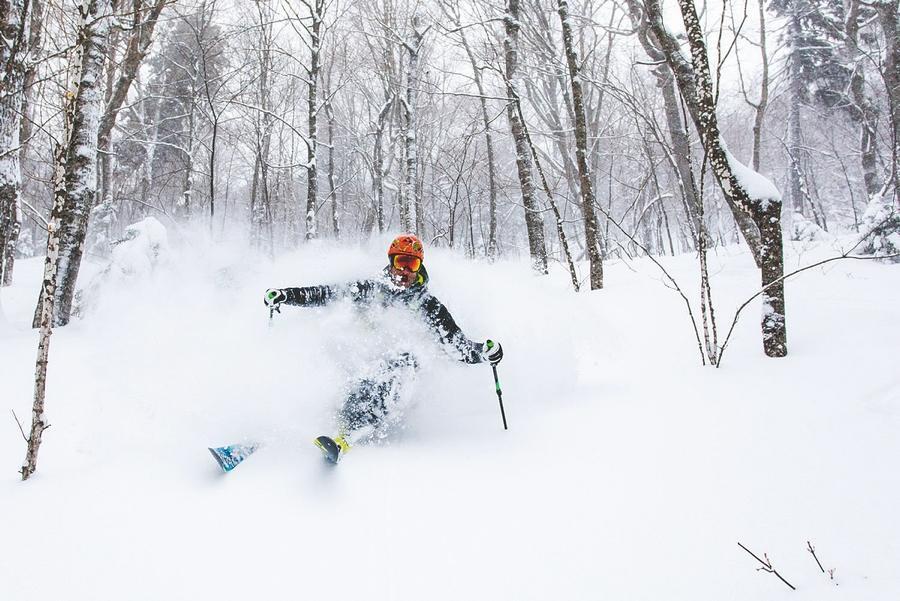 WMNF Glade Skiiing