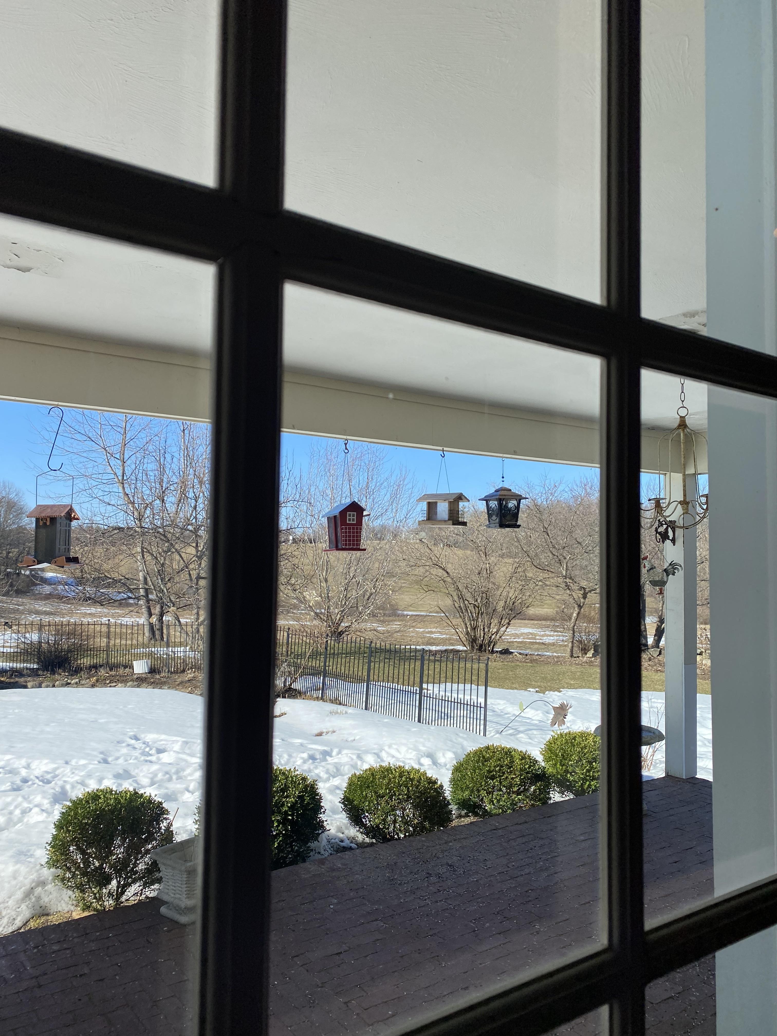 A row of birdfeeders hangs from a porch beam over a snowy yard