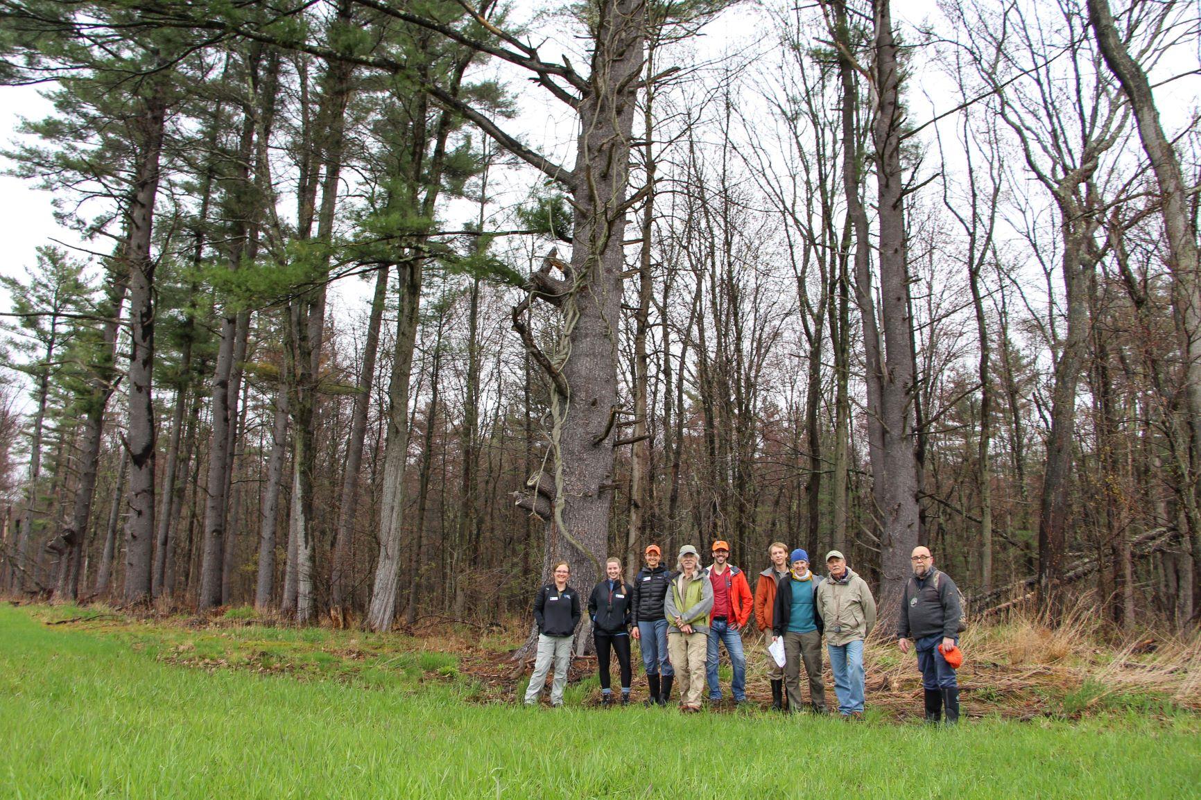 Volunteers and staff standing in front of trees