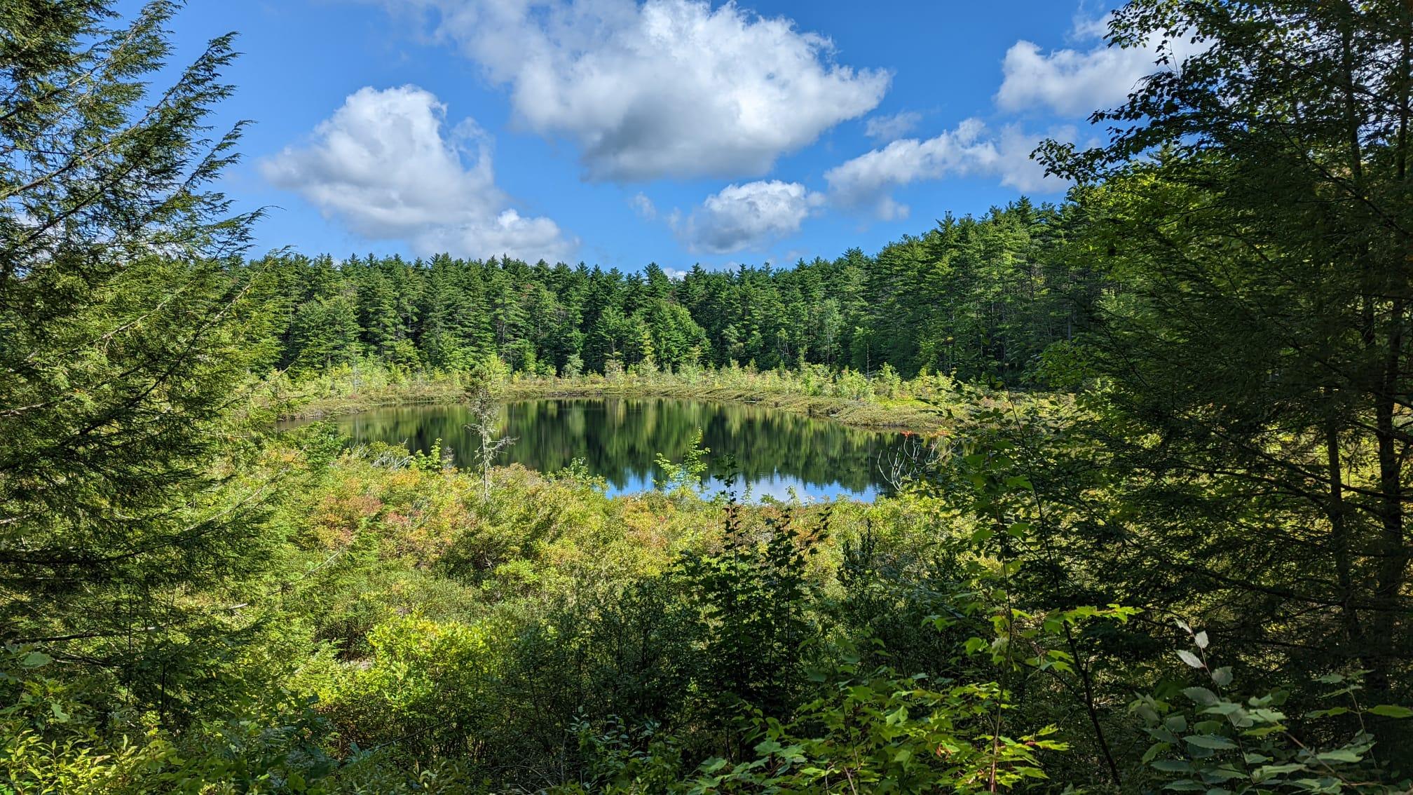 A small blue lake surrounded by green trees
