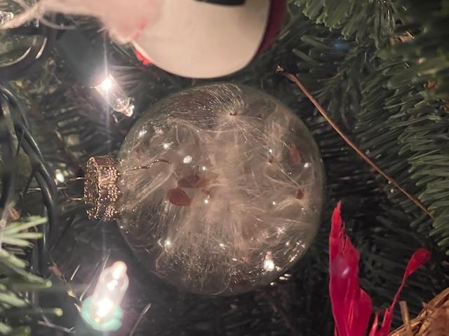 Milkweed ornament craft