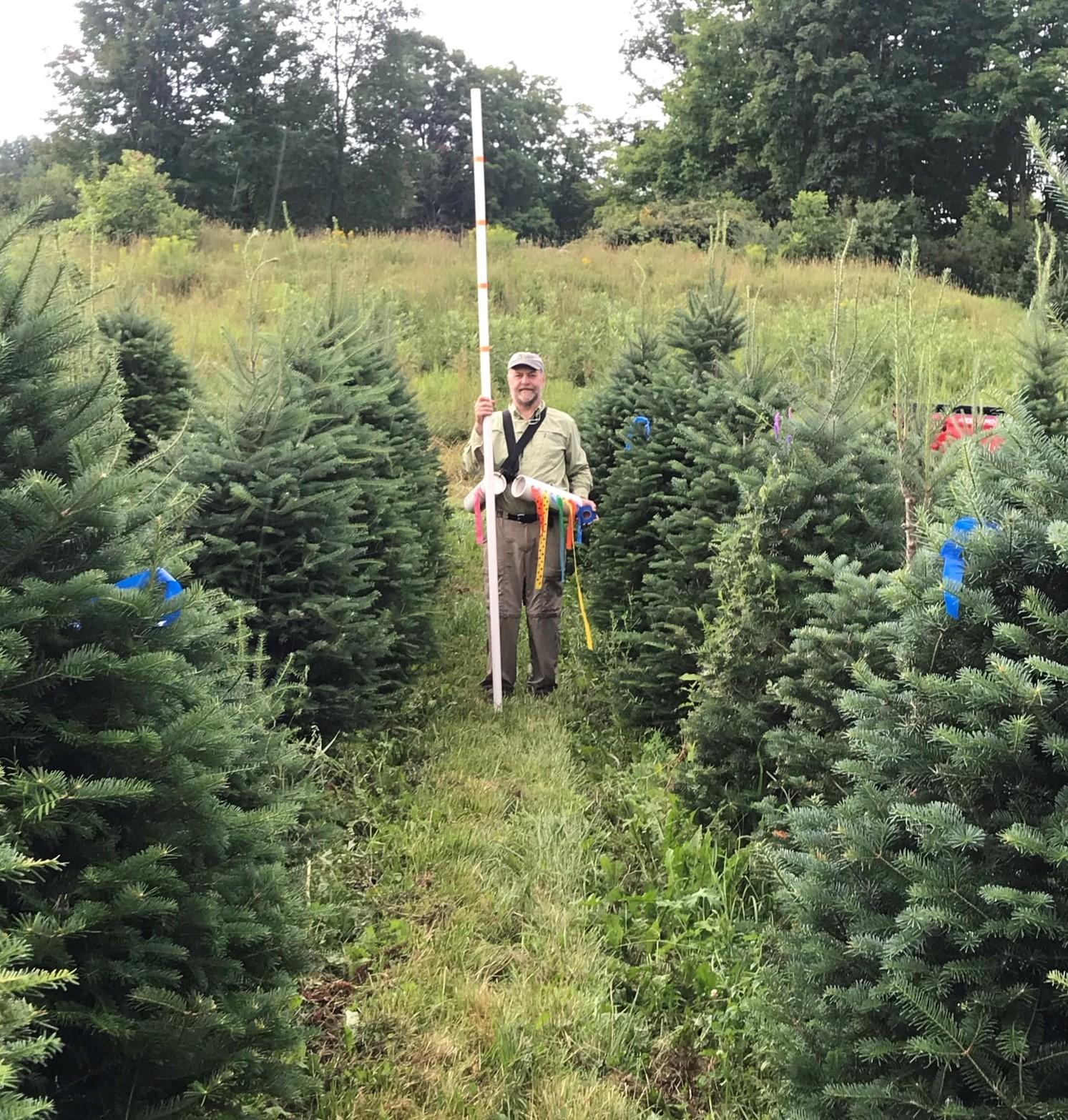 Rocks Director Nigel Manley stands in the middle of a row of trees.