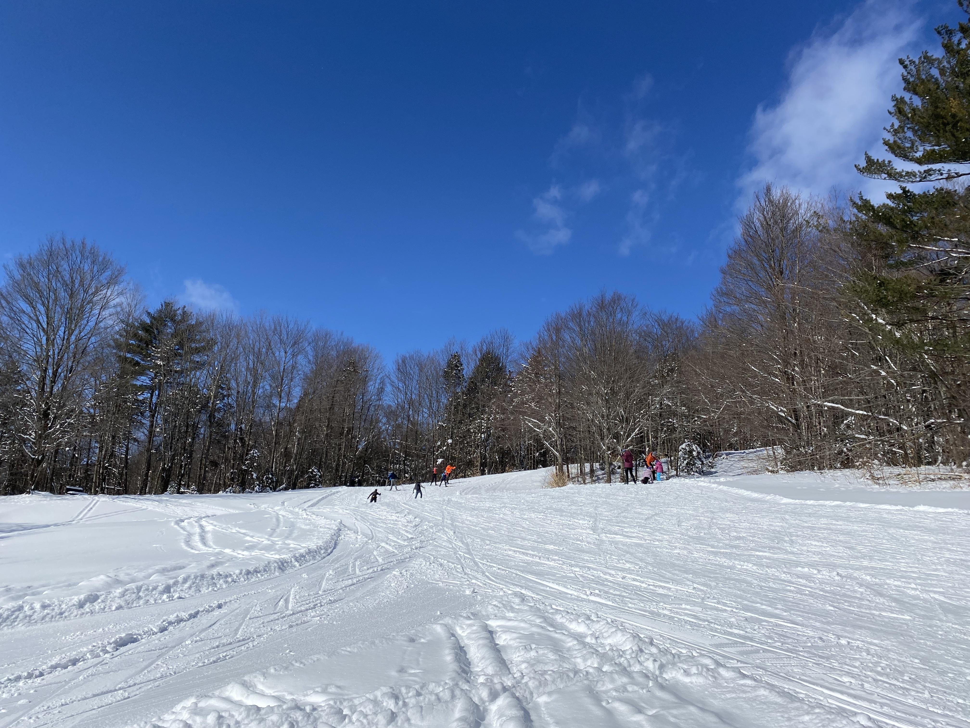 Cross country skiers make their way up a snowy hill in a large field. 