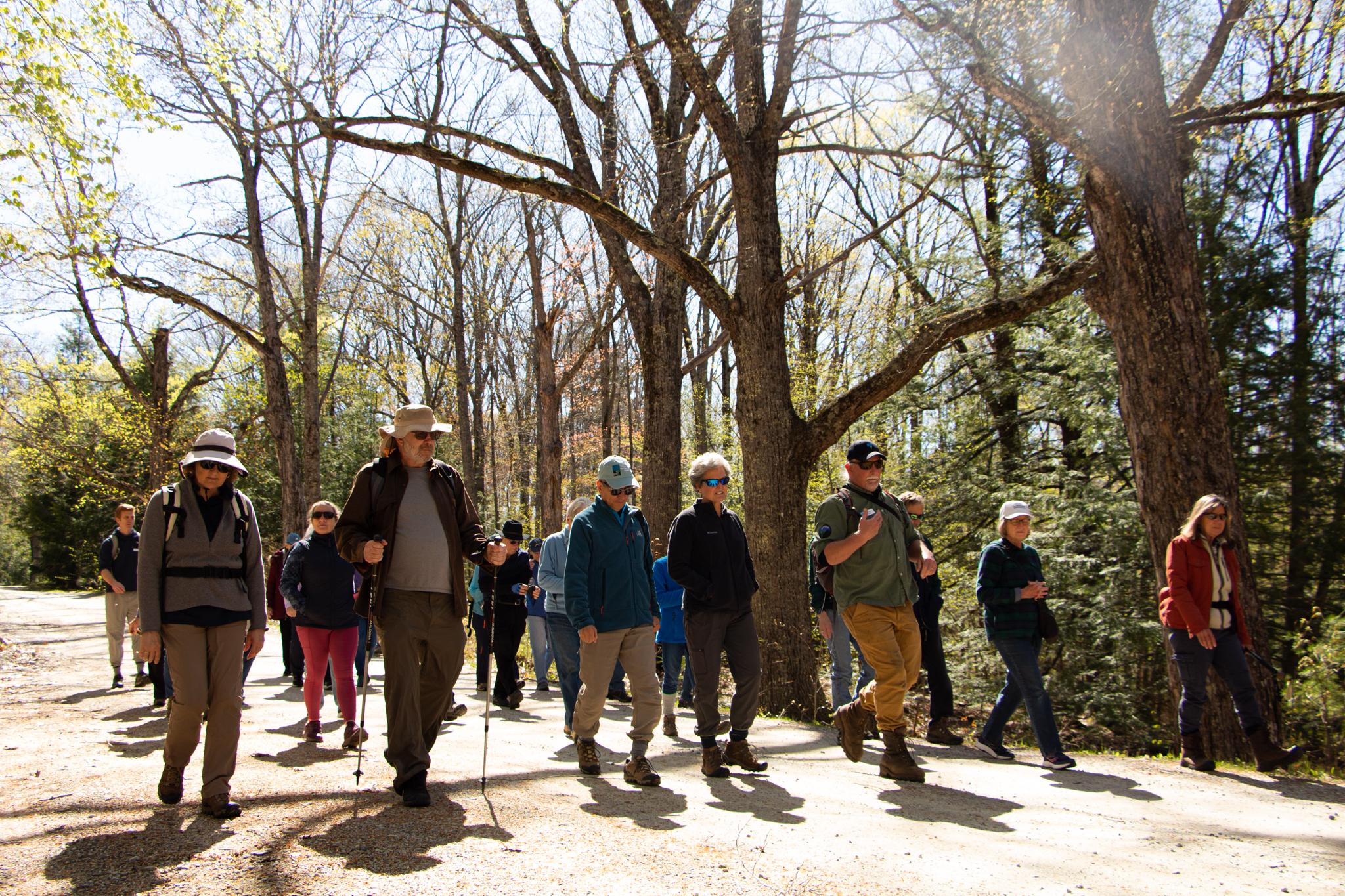 A line of hikers make their way down a gravel road towards the camera. 