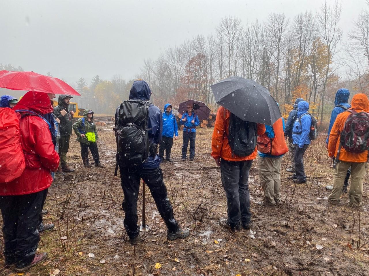 A group of land stewards standing at the Wilkins Campbell log landing