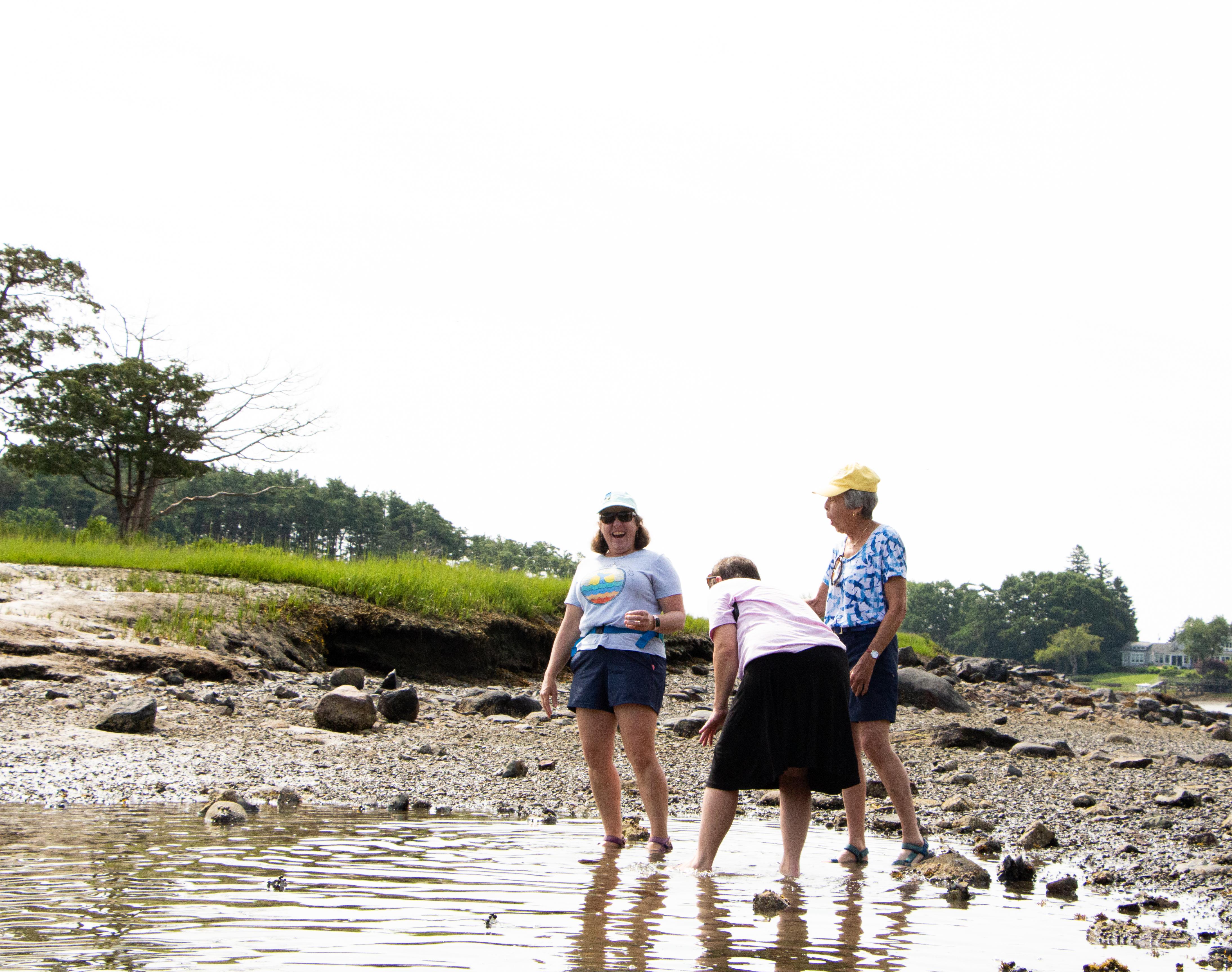 Three women stand in ankle deep water holding butterfly nets. 