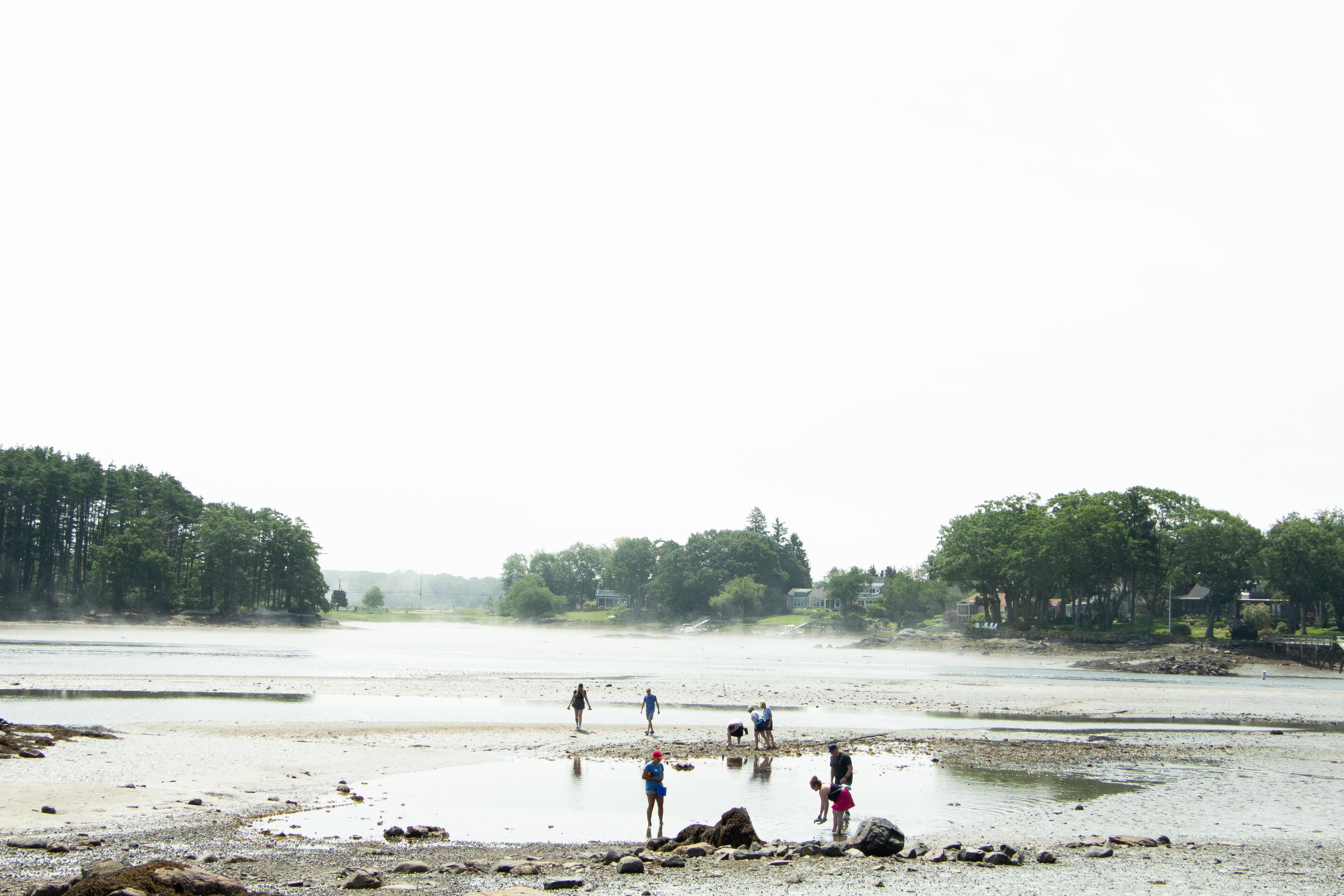 A group of people play in the waters of an ocean inlet. 