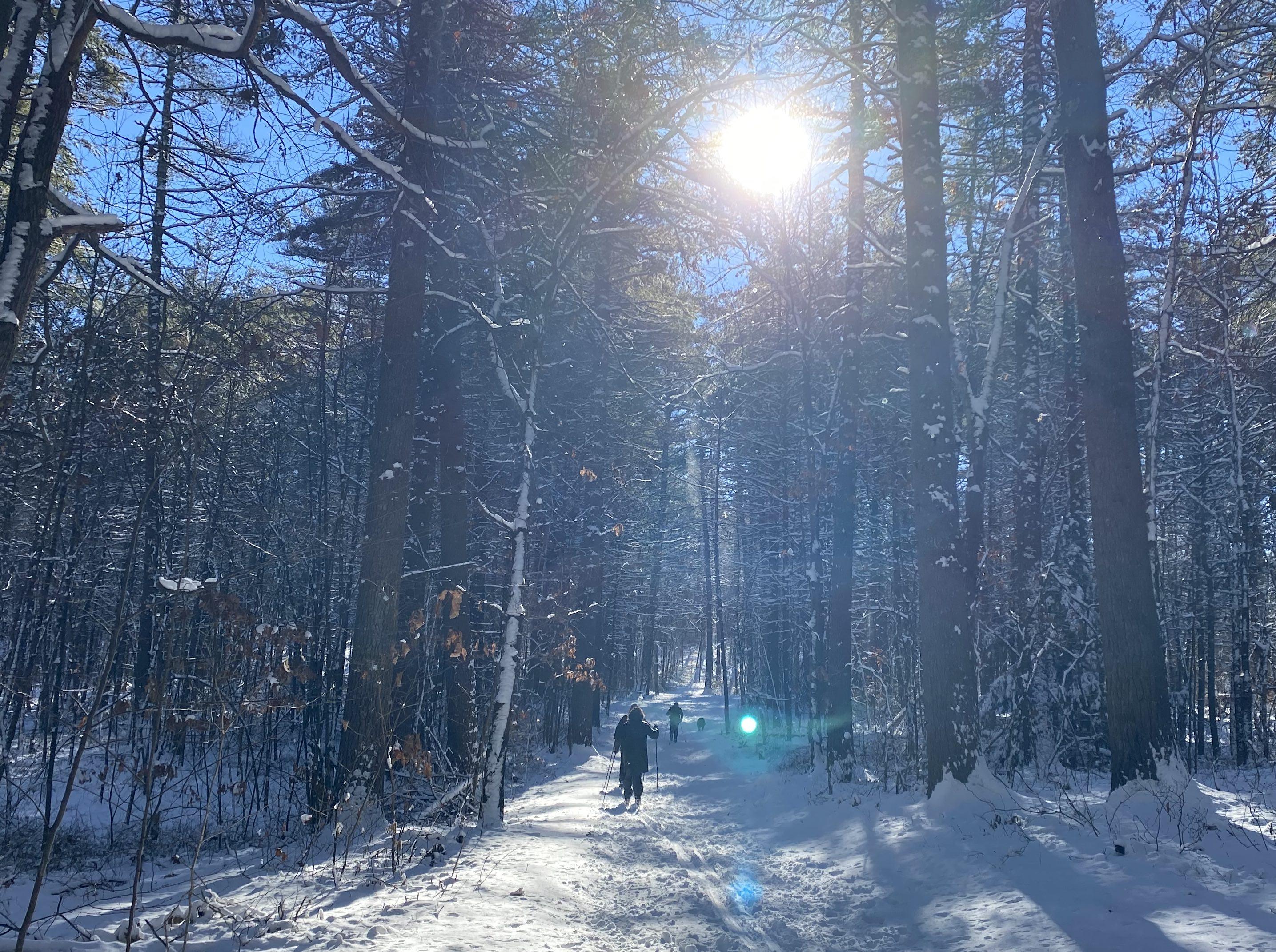 A group of skiers make their way over an ungroomed snowy trial 